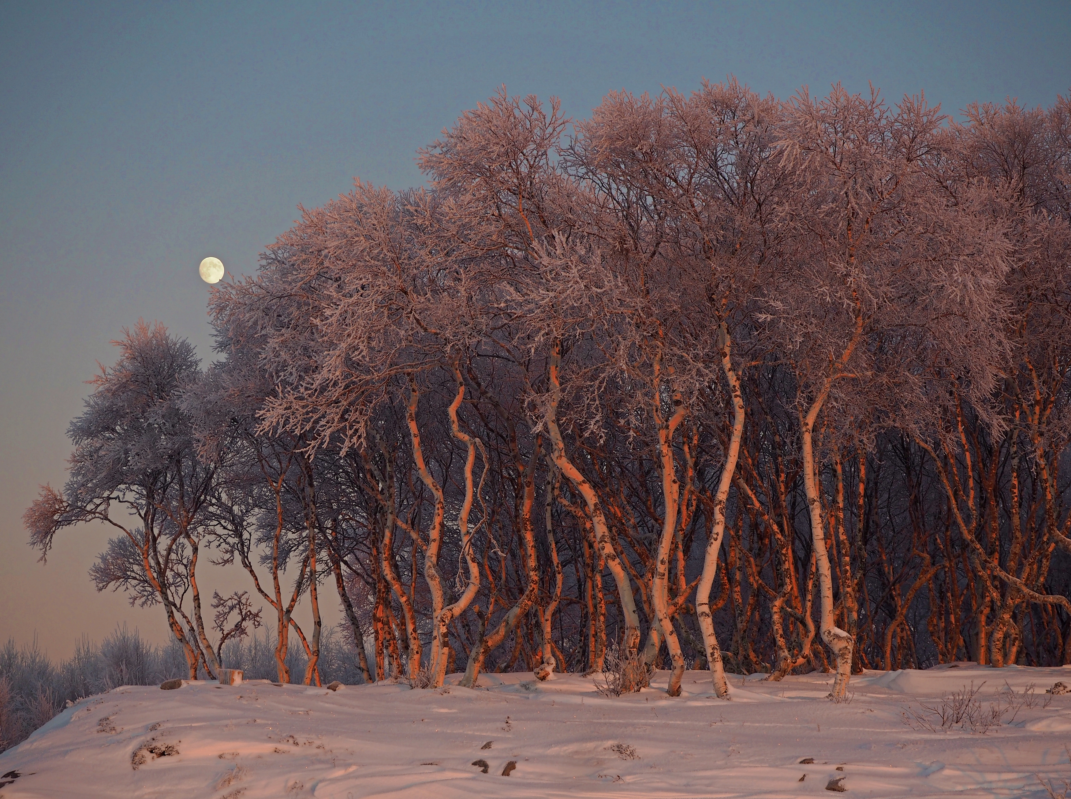 , Яковлев Евгений