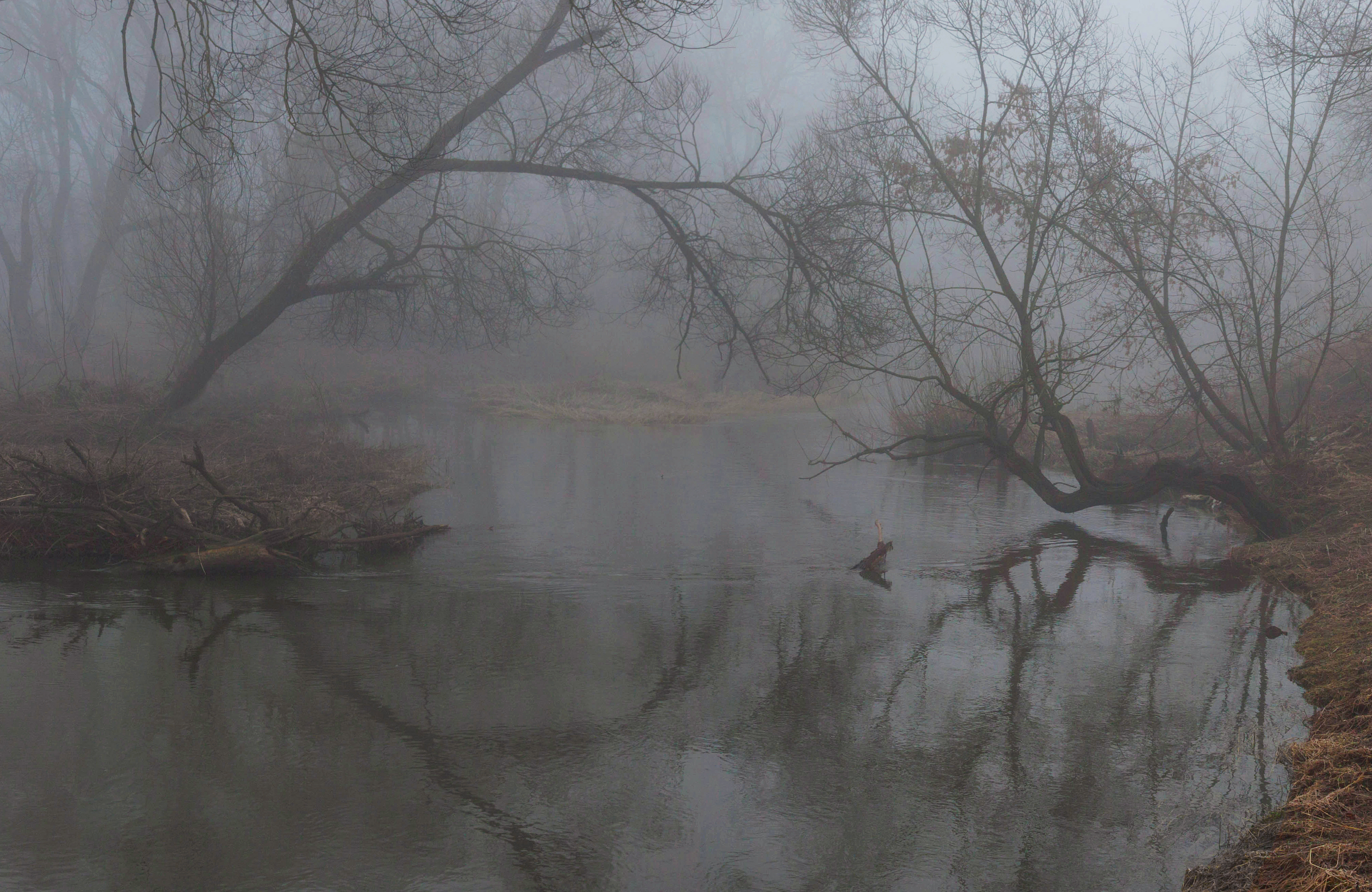 весна, река, туман, Свистков Александр