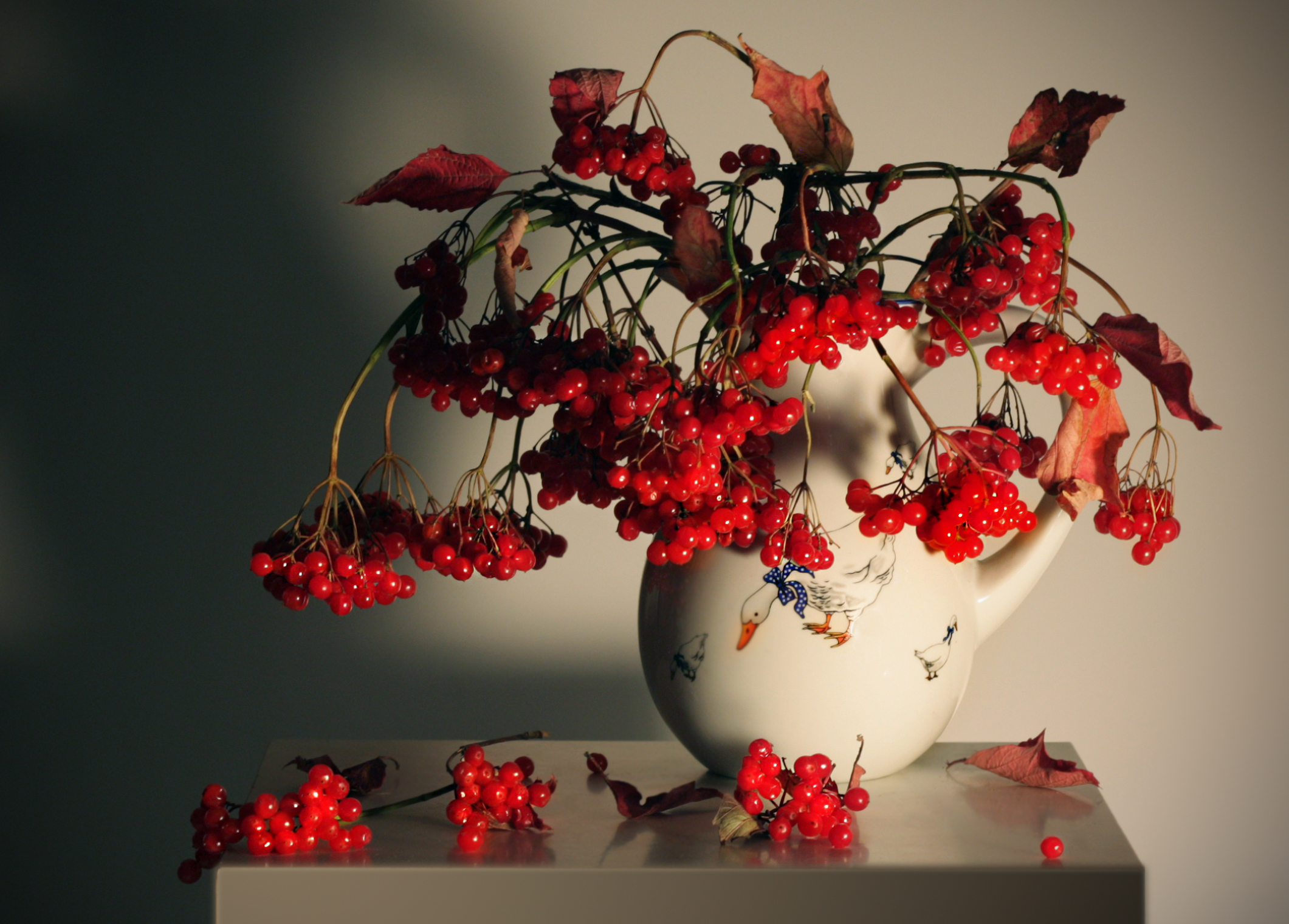 калина, Заболотская Ольга