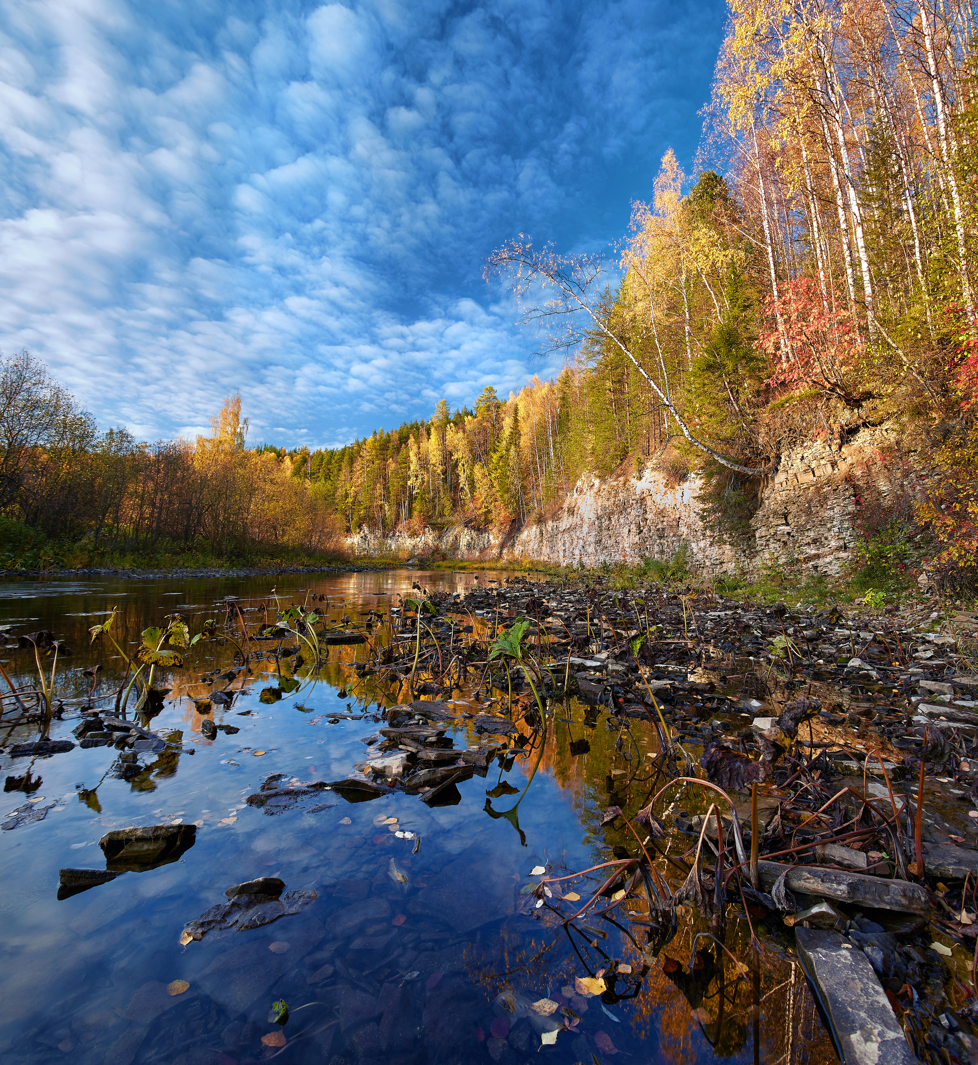 , Илья Лисаускас