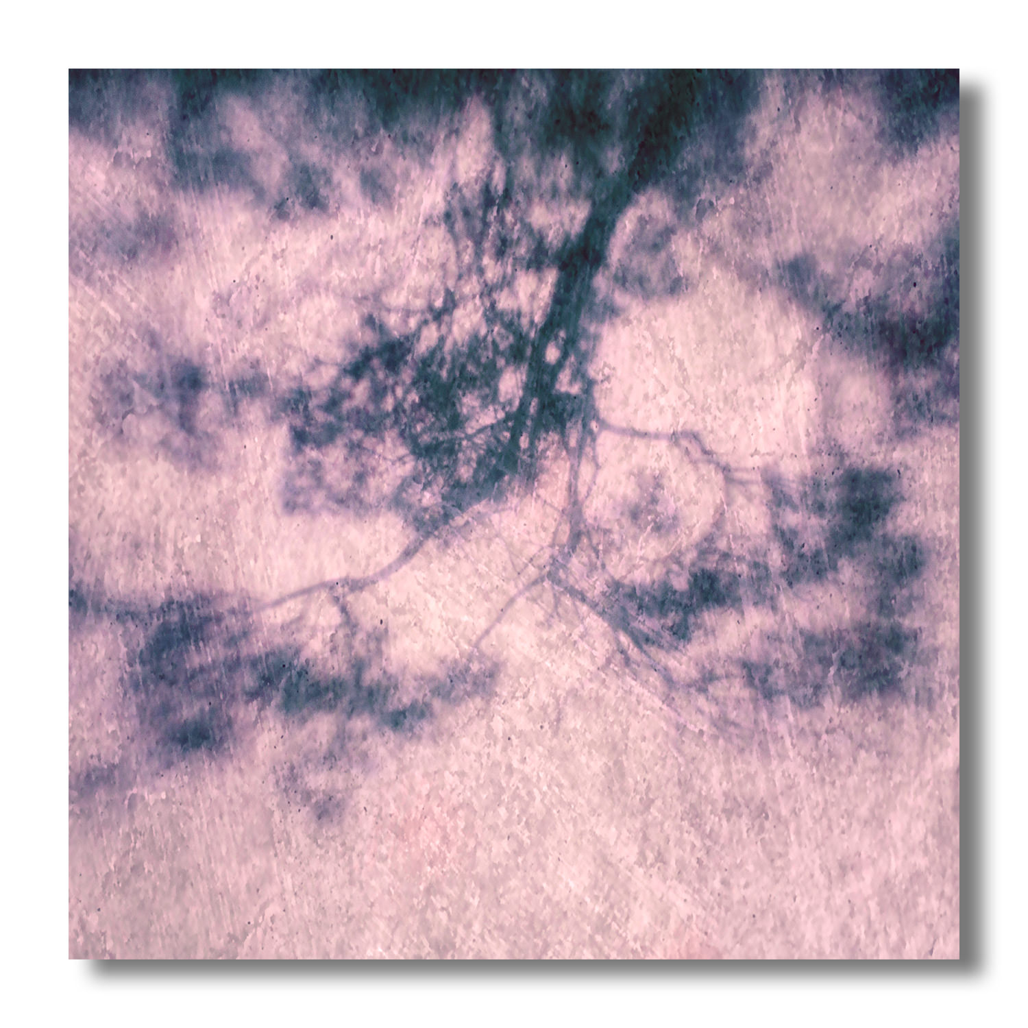 пикториализм, монокль, арт-фотография, художественная фотография, пикториальный пейзаж, пикториальная фотография, Ефимов Андрей