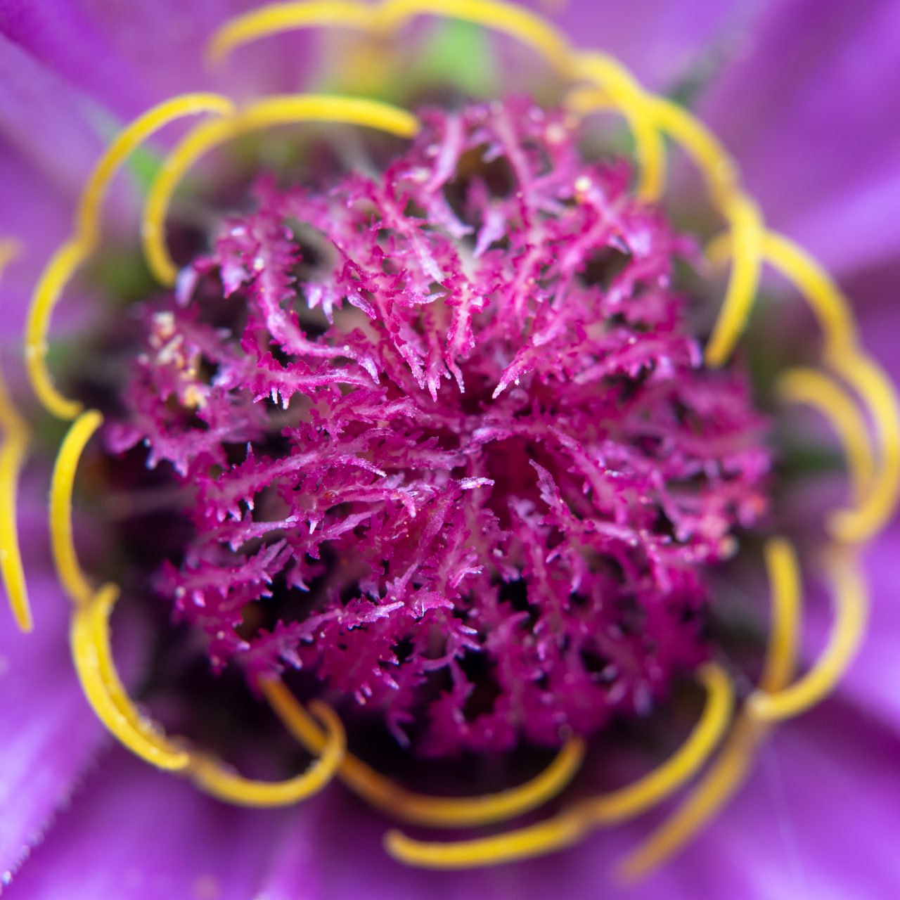 , Миша Усольцев