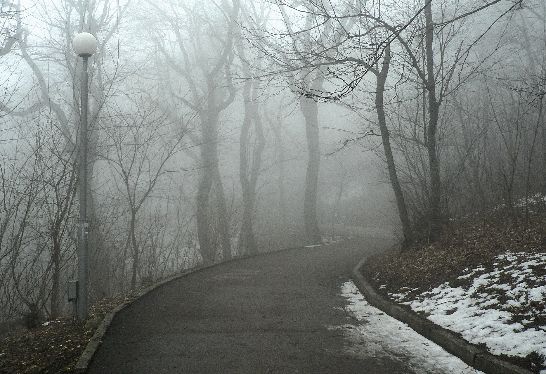 железноводск, туман, парк, КарОл