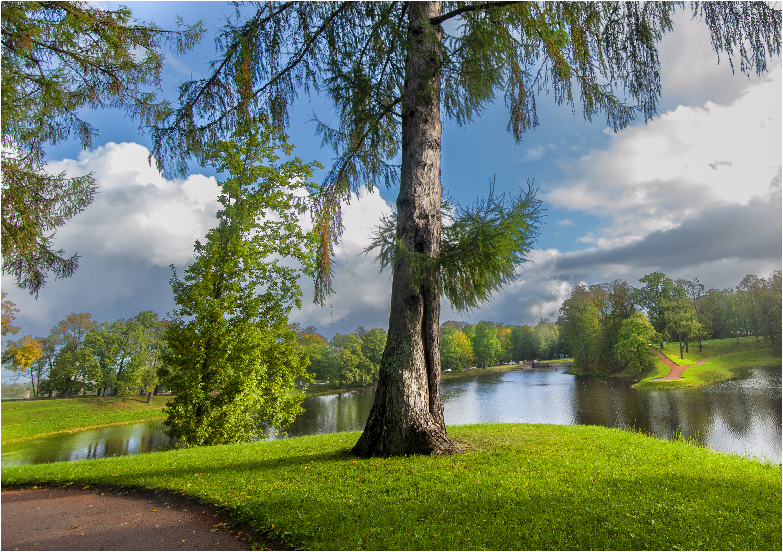 , Георгий Сапожников