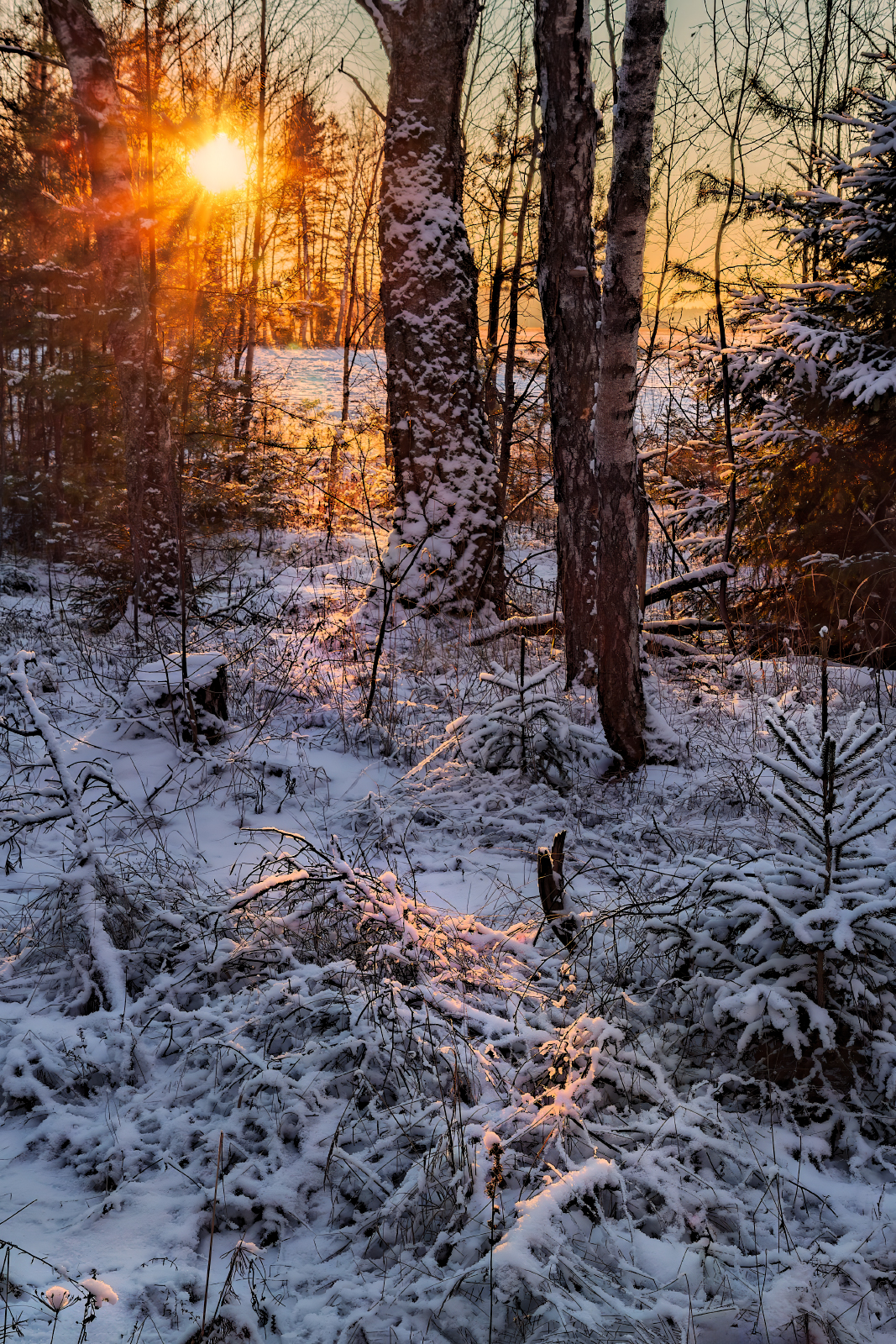 , Евгений Ерохин