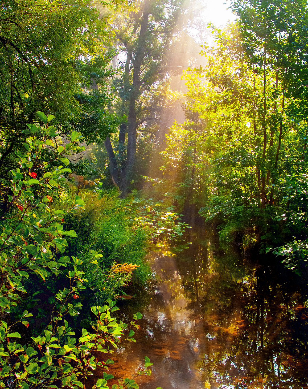 , Шустиков Дмитрий