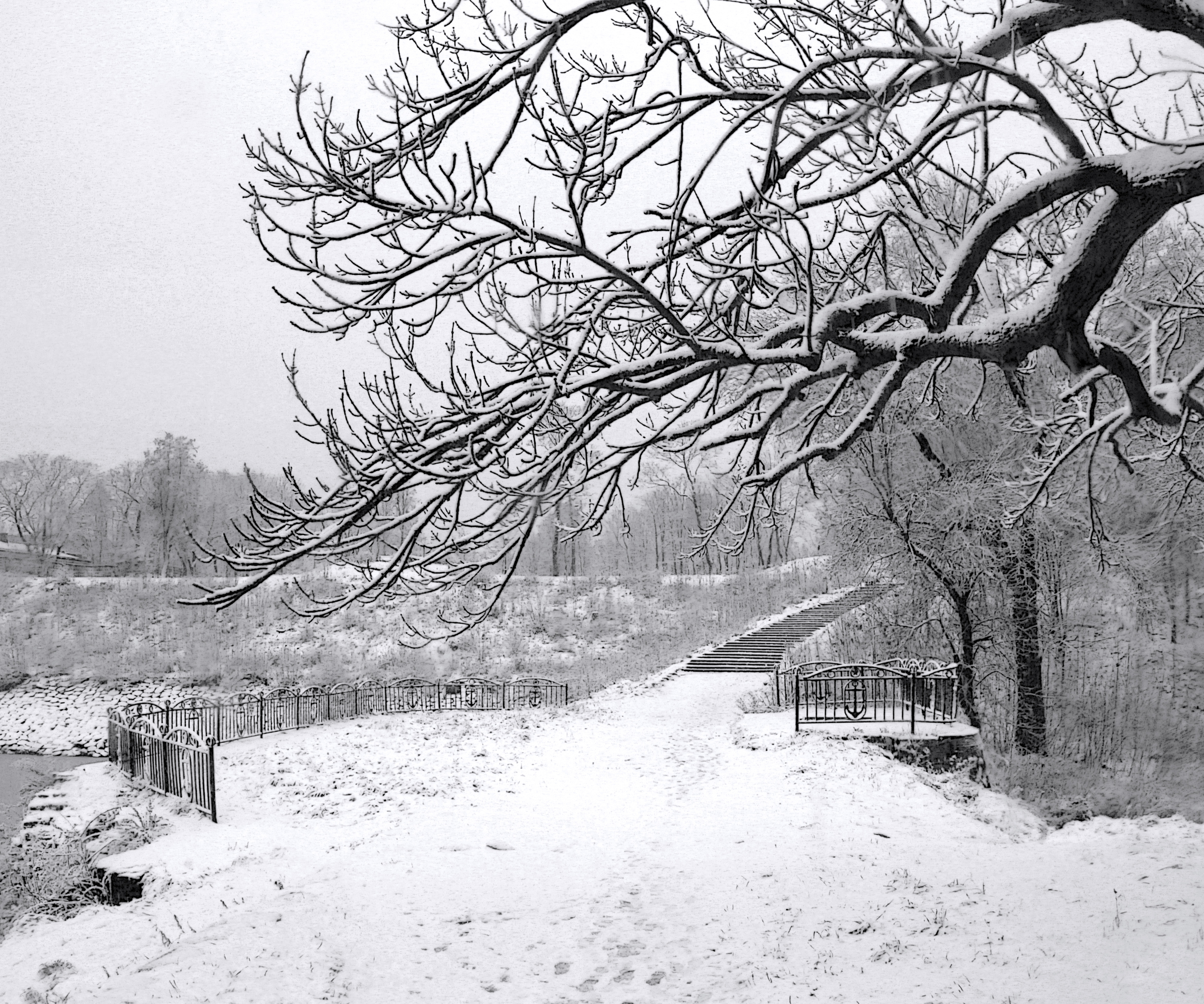 , Сергей Григорьев