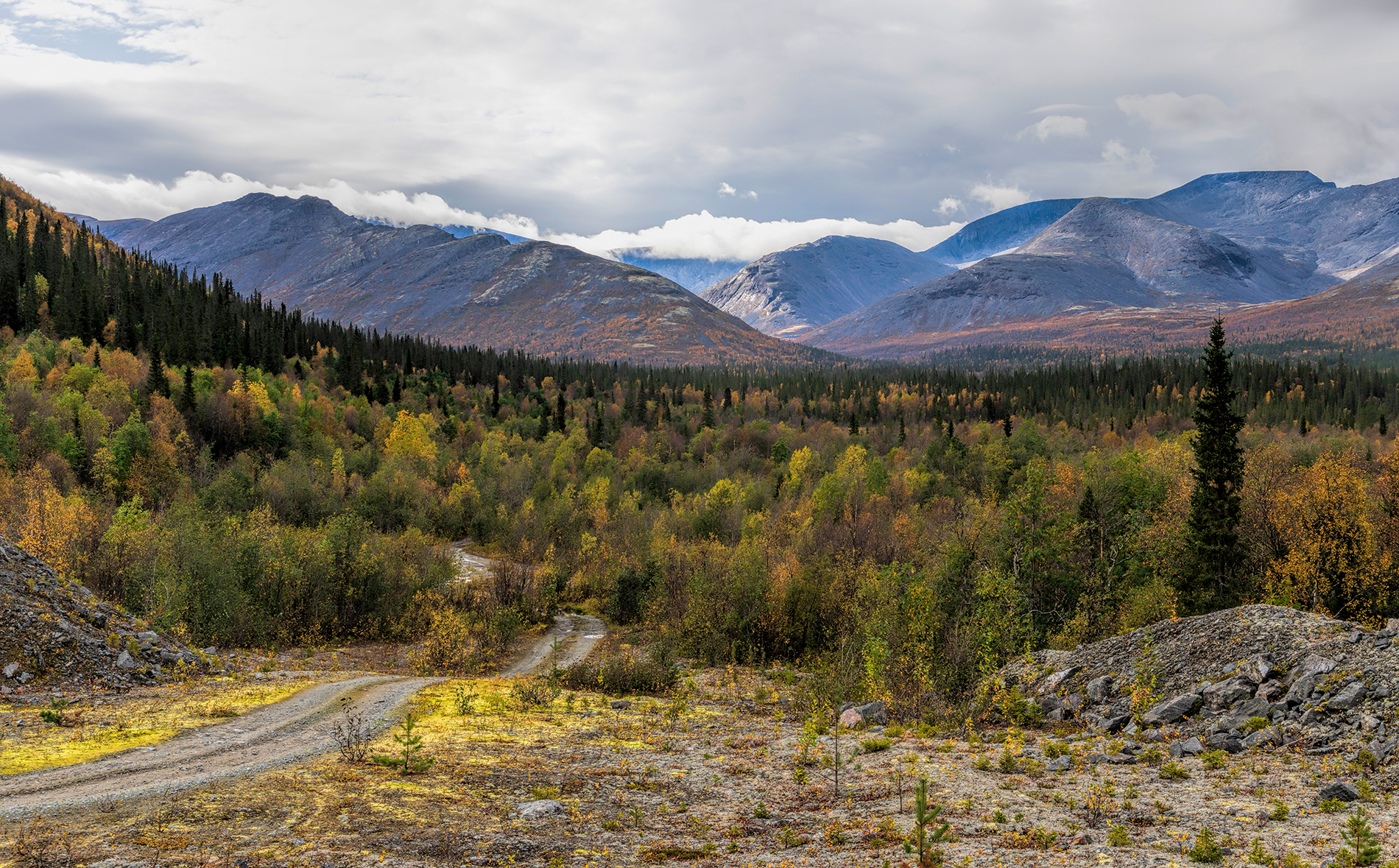 , Александр Смыков
