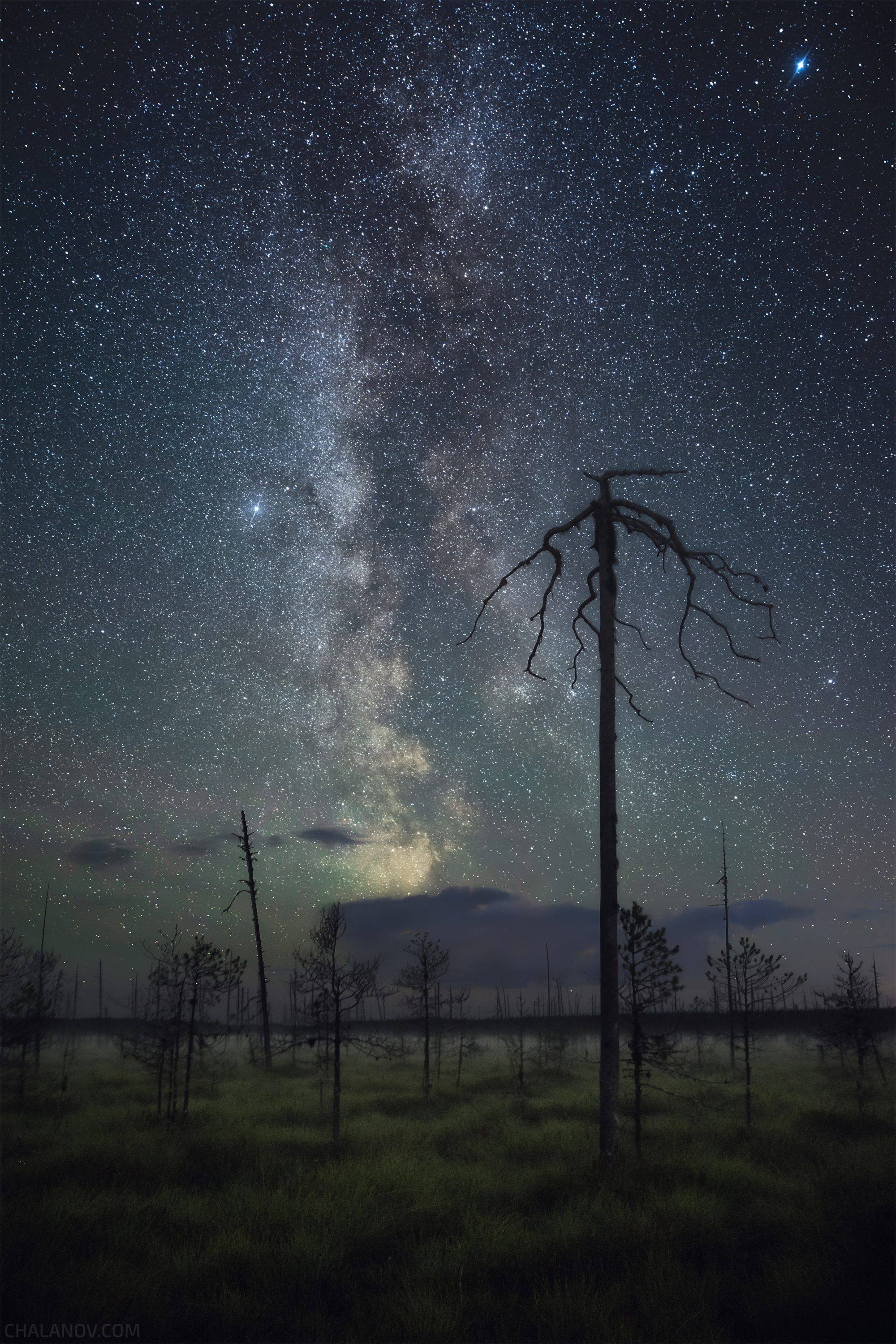 пейзаж, ночь, звезды, млечный путь, ночной пейзаж, болото, сосны, туман, облака, Иван Чаланов