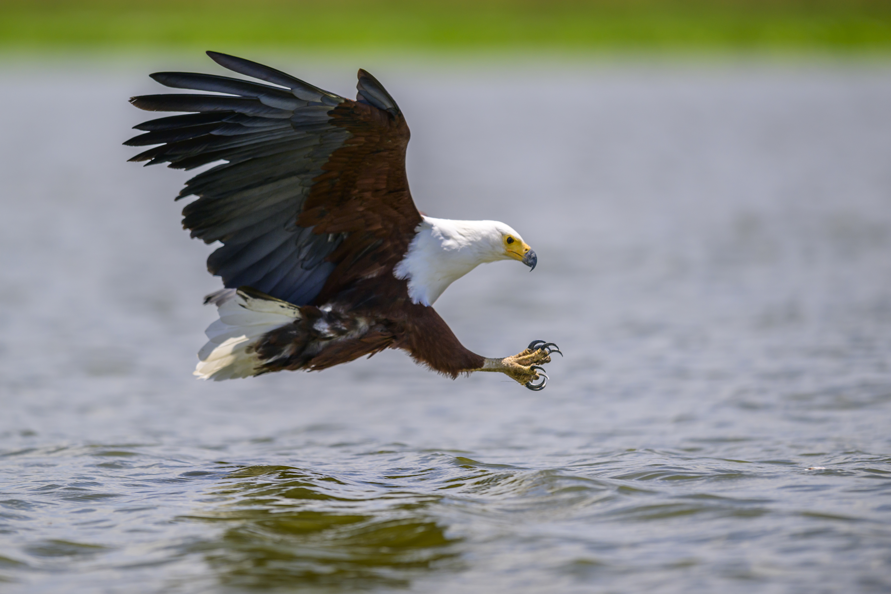 , Пупонин Сергей