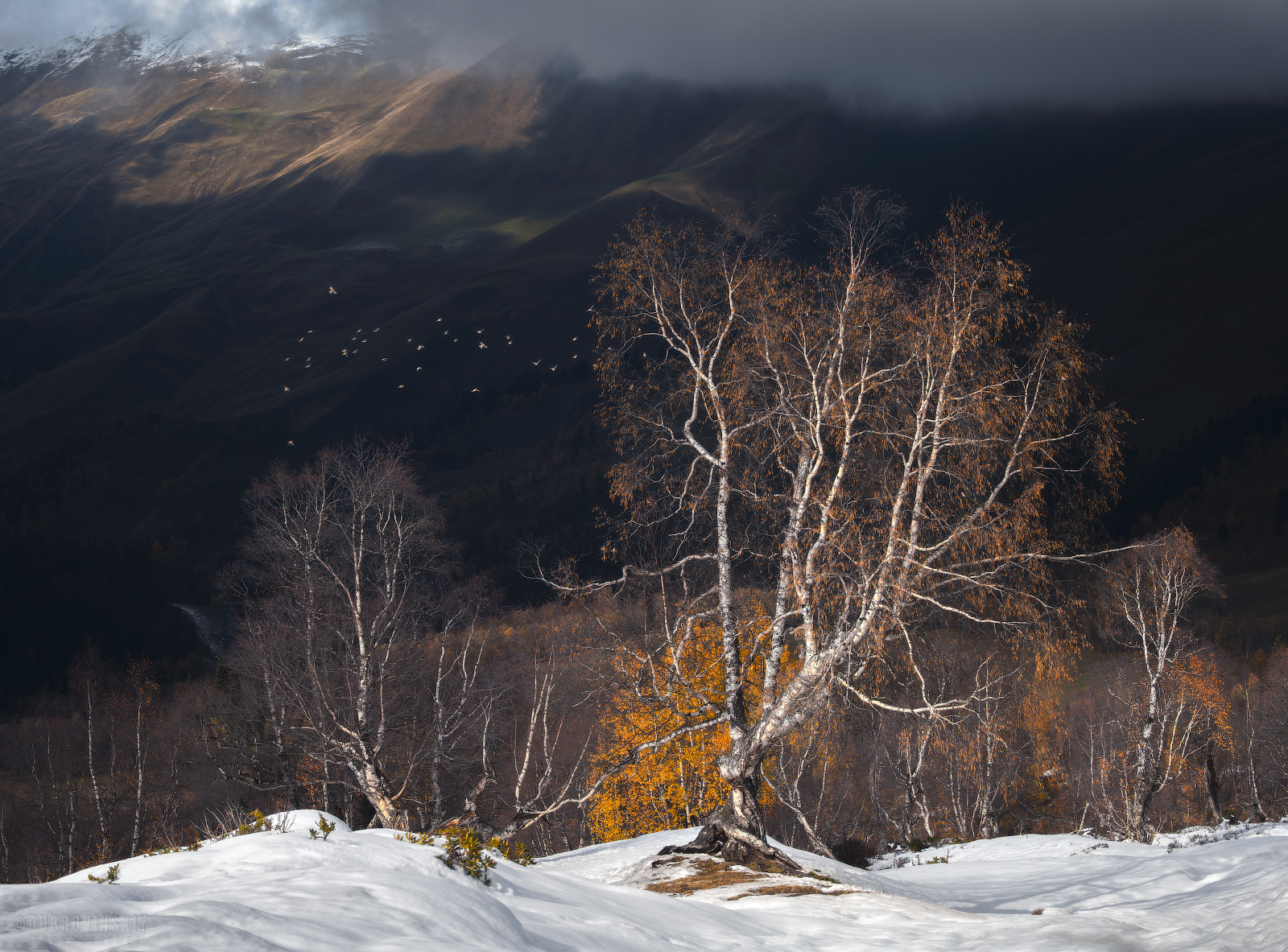 Горы, Кавказ, Архыз, снег, Пхия, Дубровинский Михаил