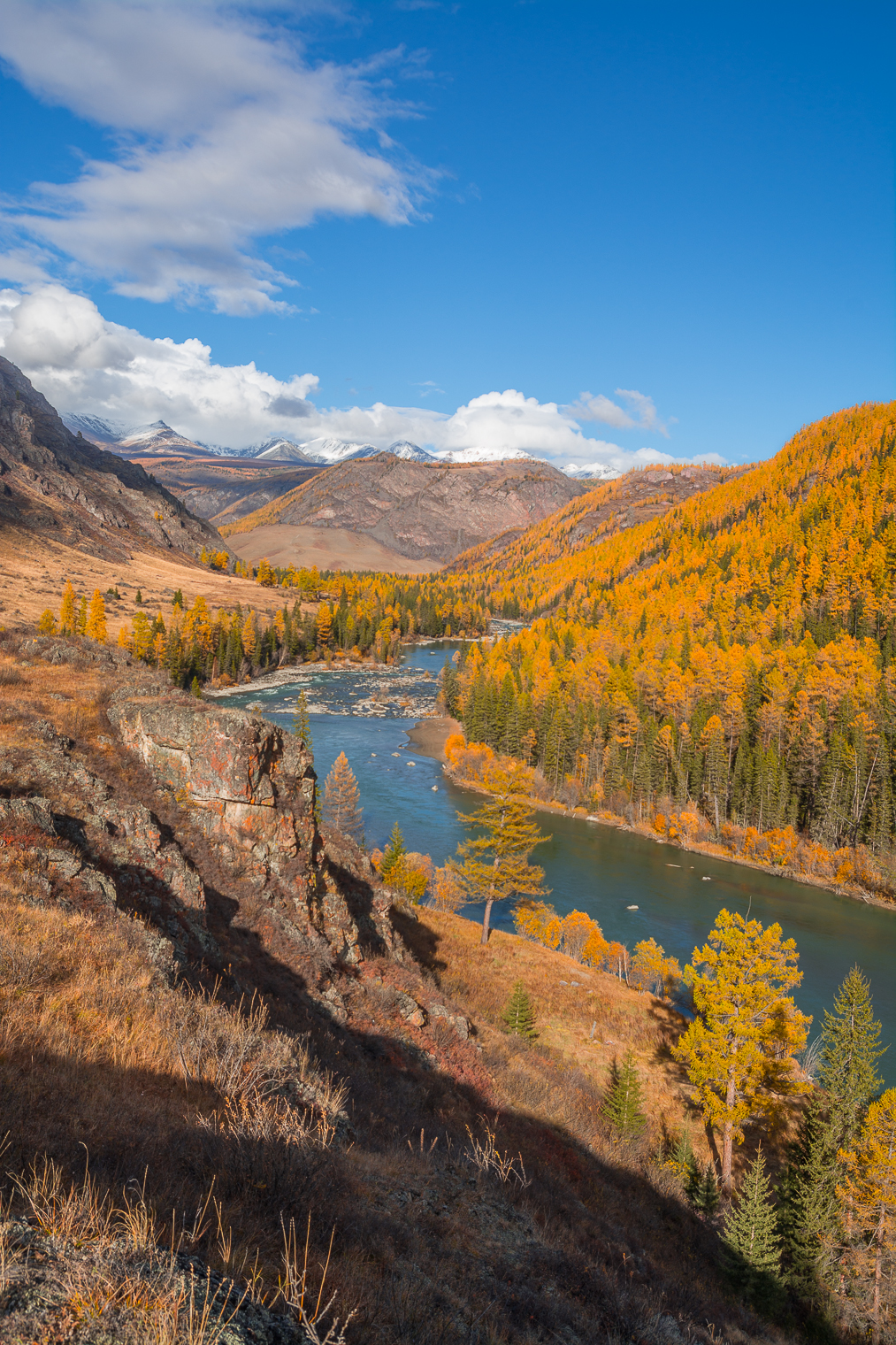 россия, горный алтай, река, осень, Андрей Поляков