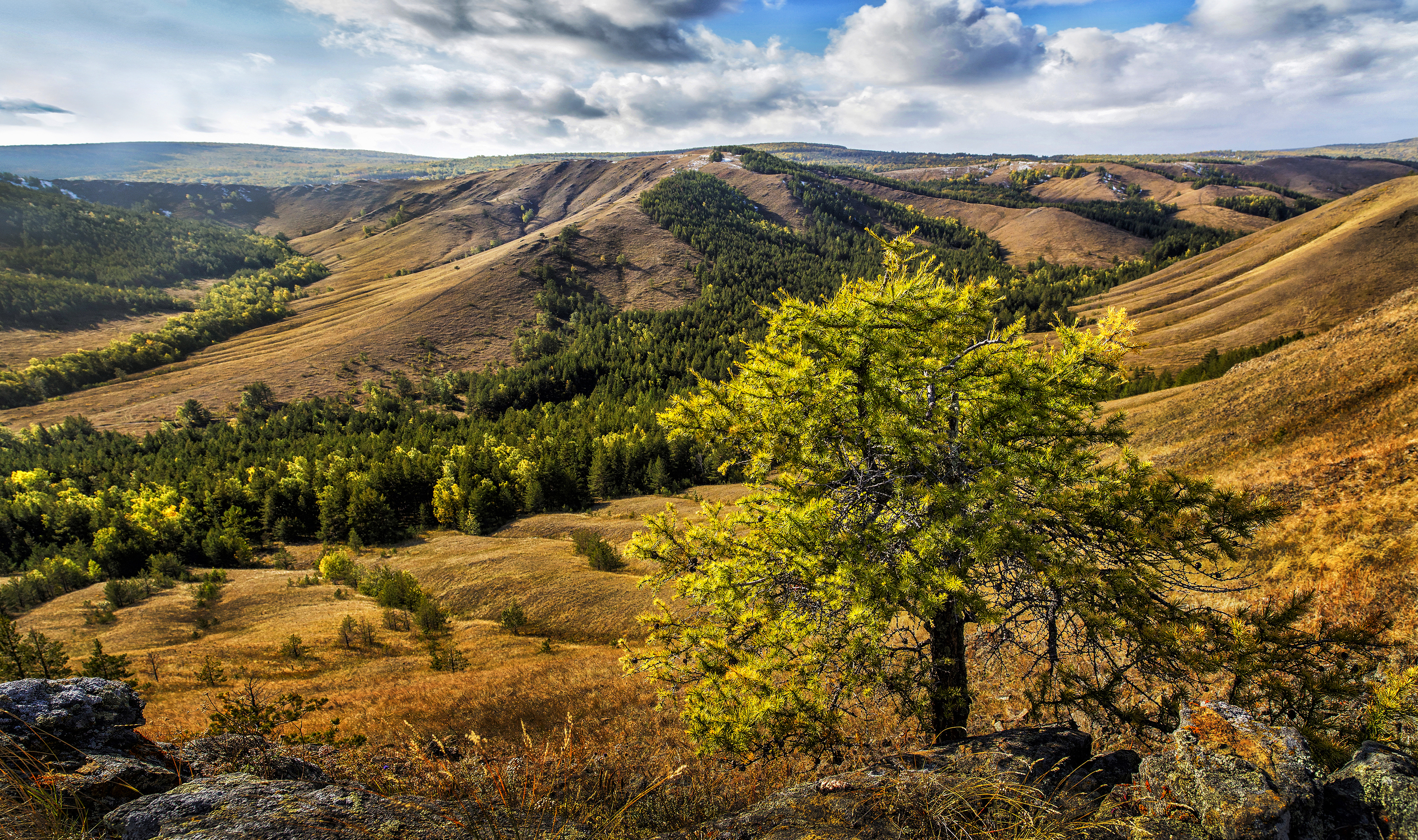 , Ушаков Валерий