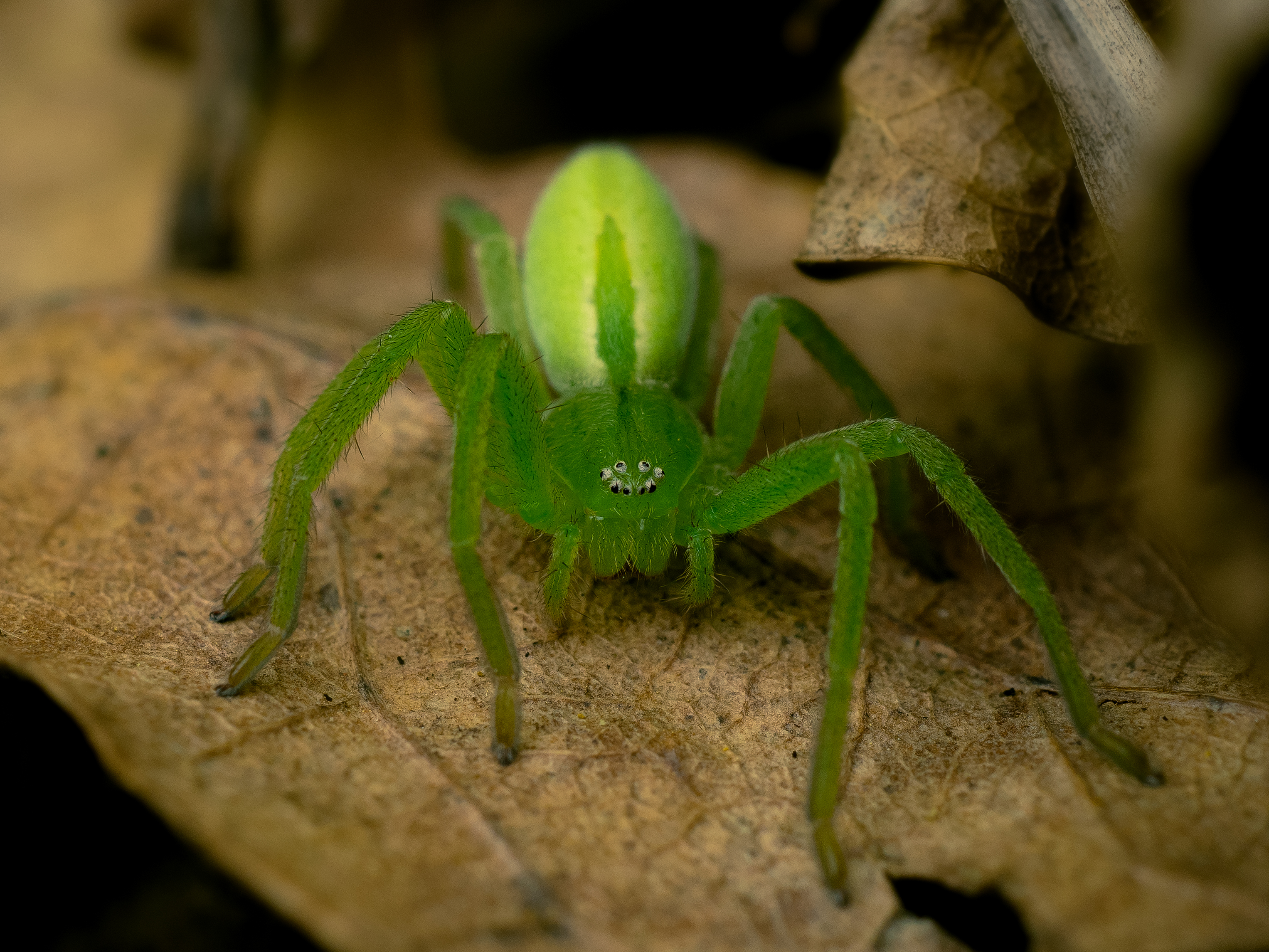 , Юрий Говорков