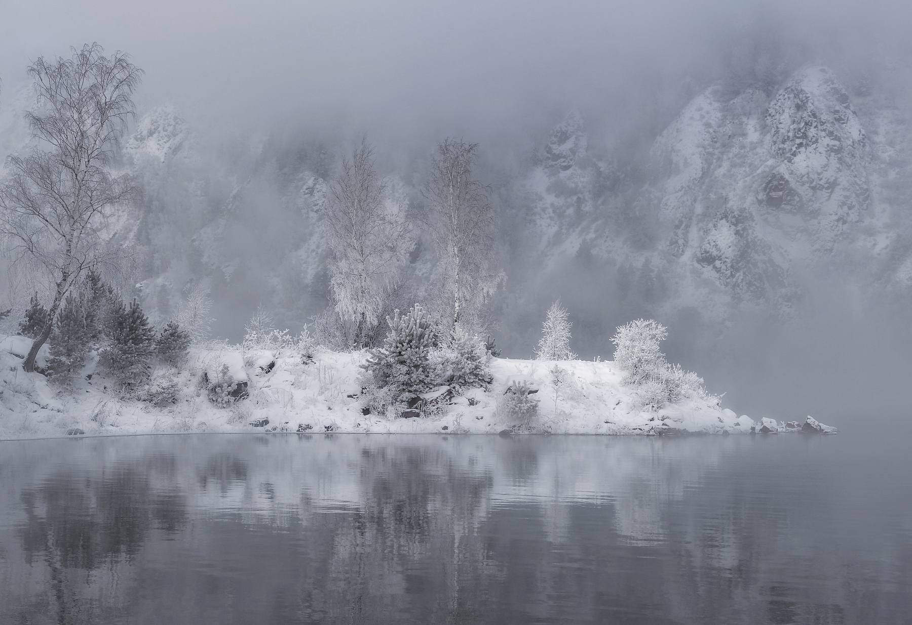 зима, мороз, елка, енисей, туман, испарение, иней, отражение, горы, саяны, красноярскфото,, Марина Фомина