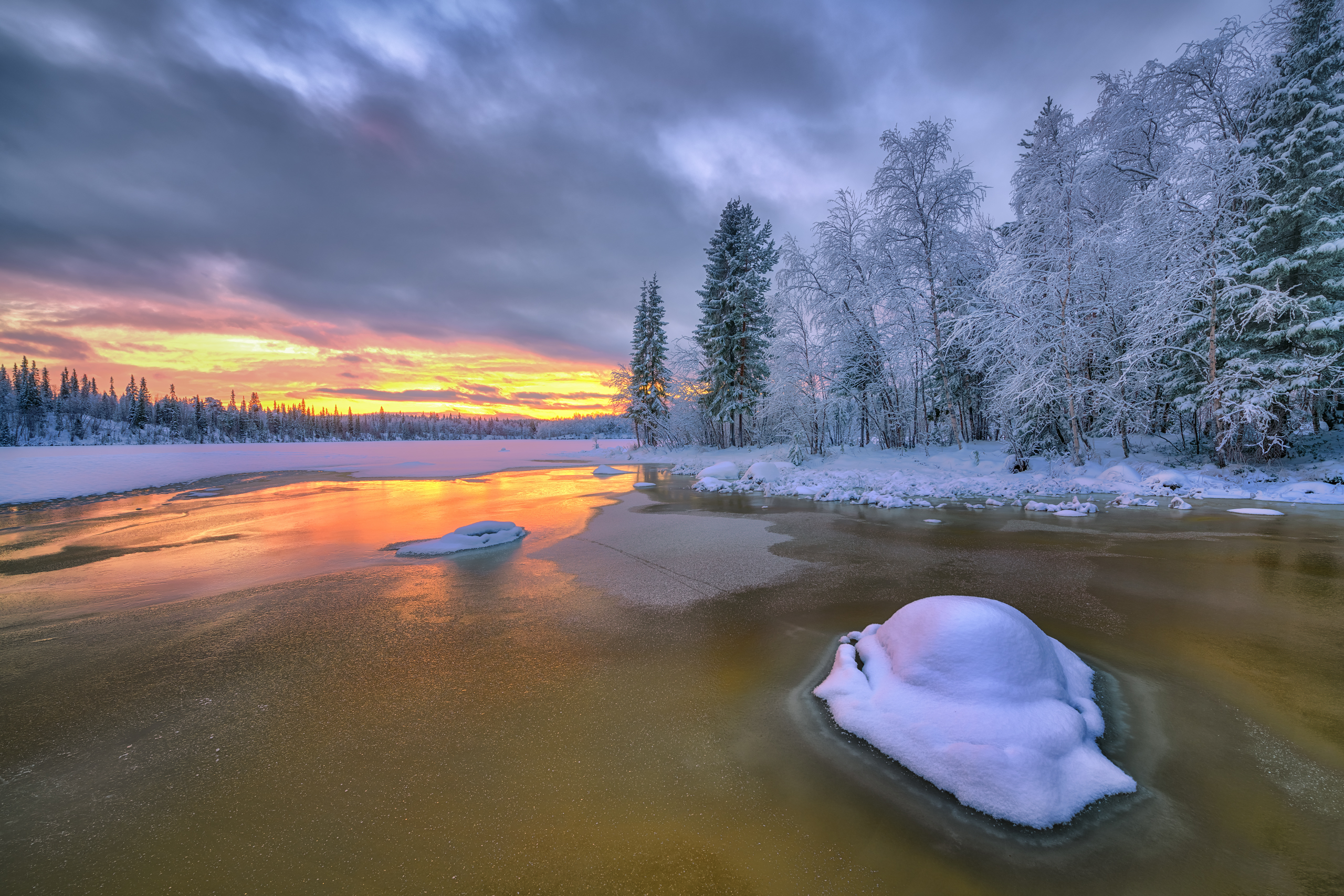 кольский, Евдокимов Максим