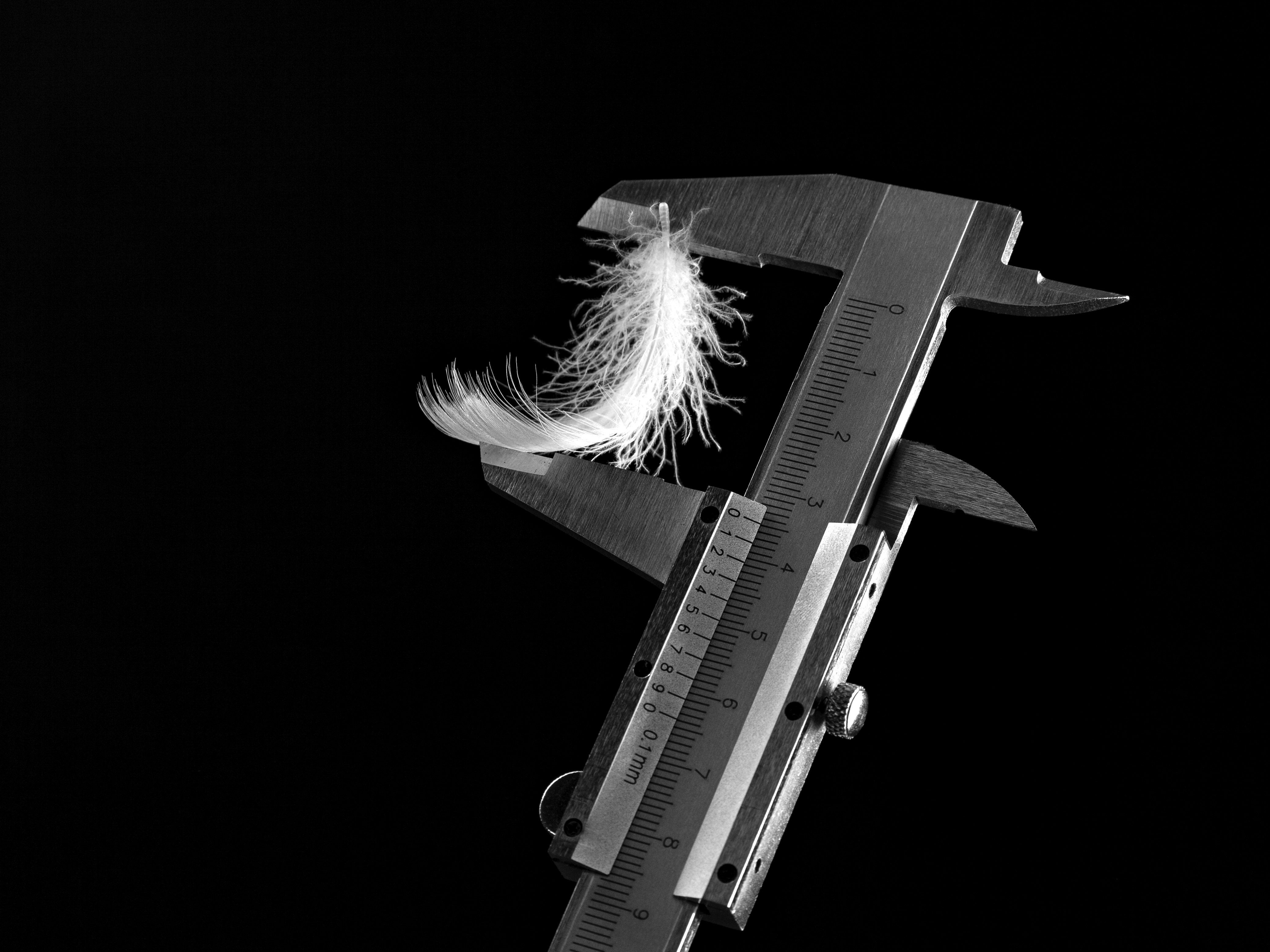 Предметка, ЧБ, Федюков Алексей