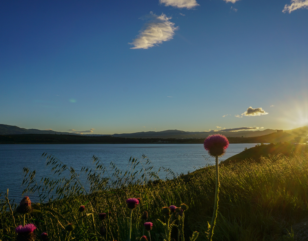 , Новикова Ольга