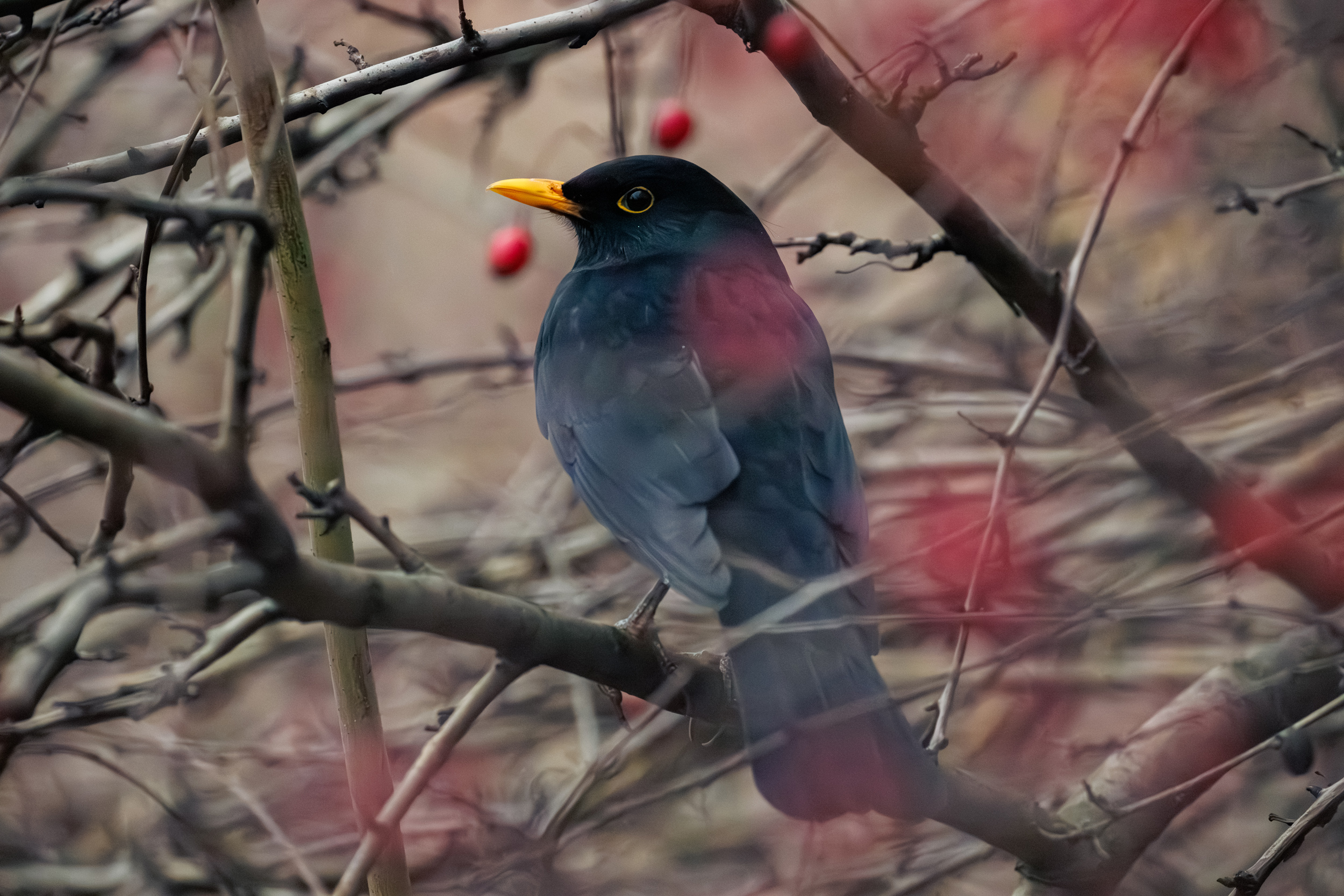 , ssmirs Сергей