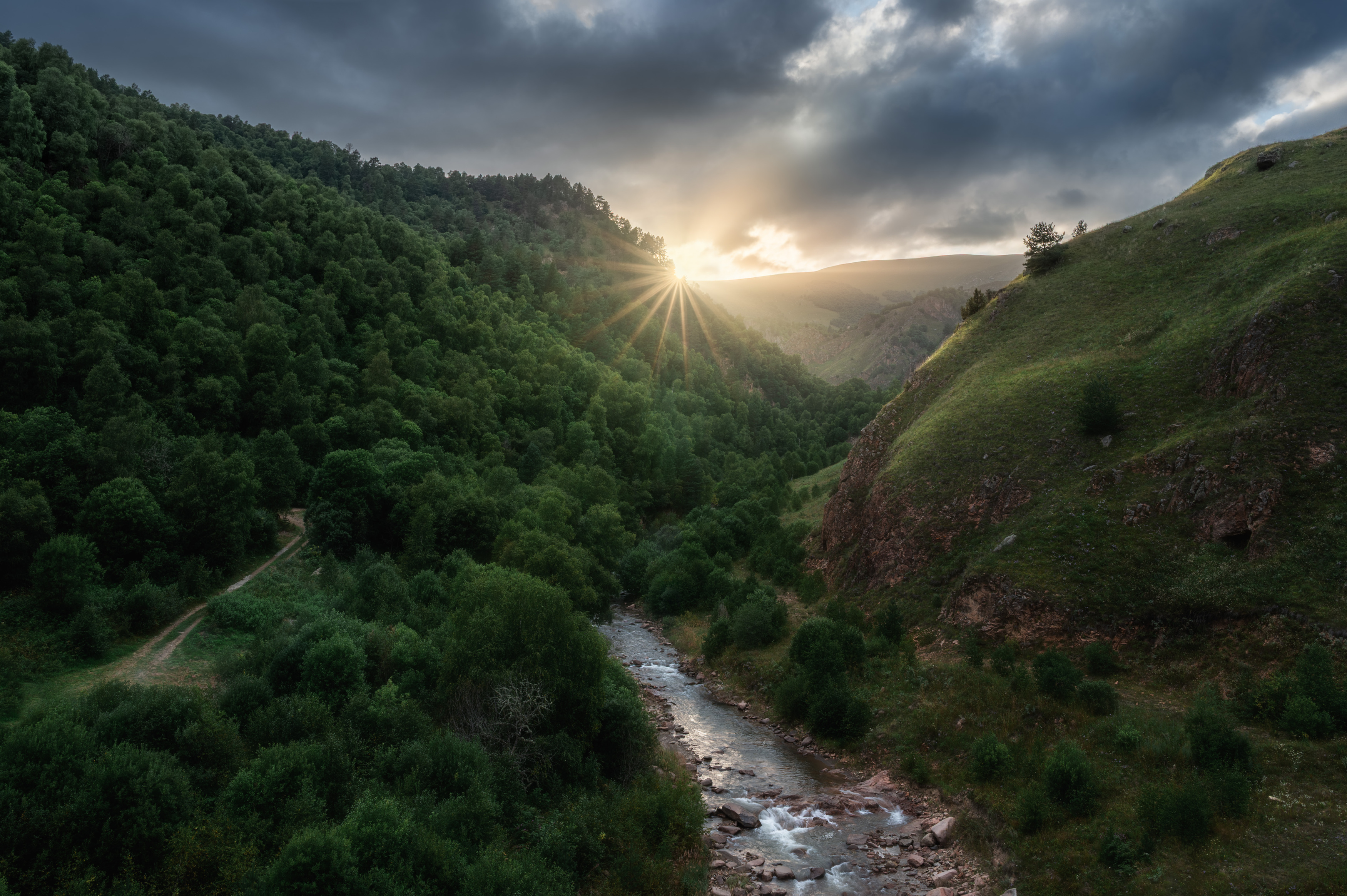 , Алексей Турчин