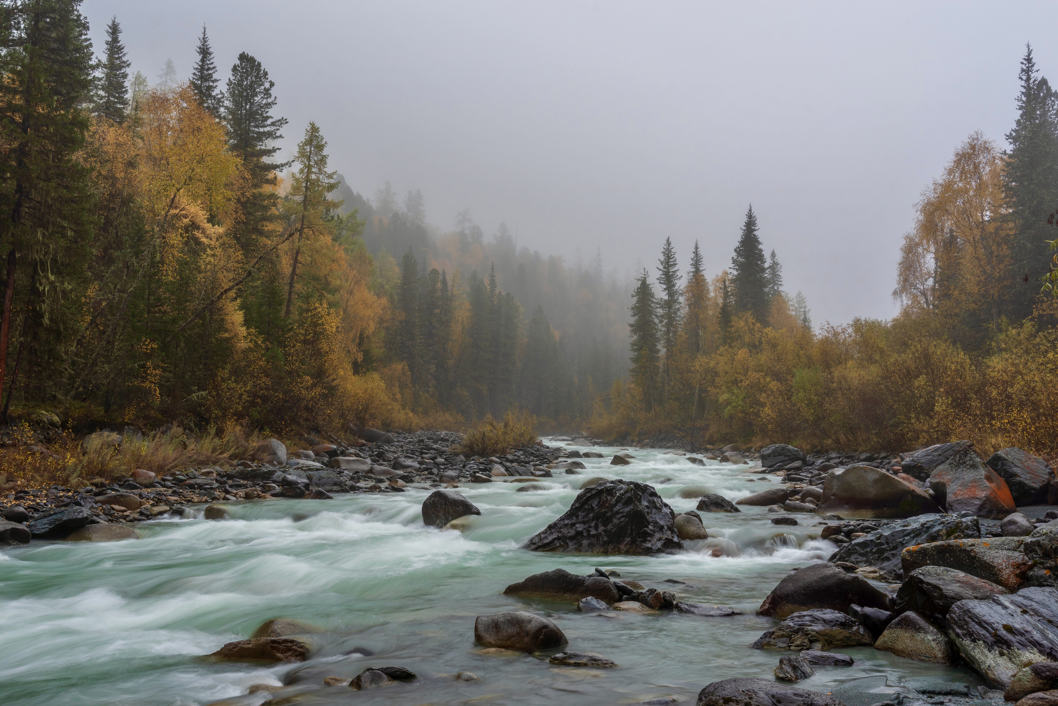 , Oleg Matronitskiy  olegmatr@mail.ru