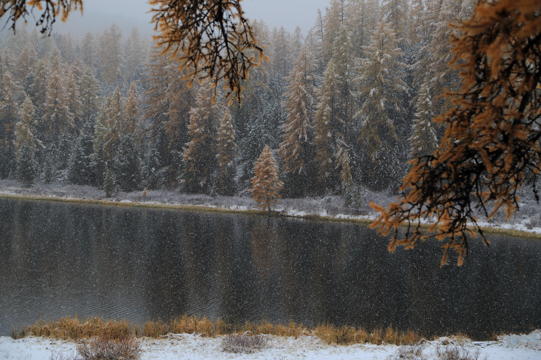 , Евгений Зинов