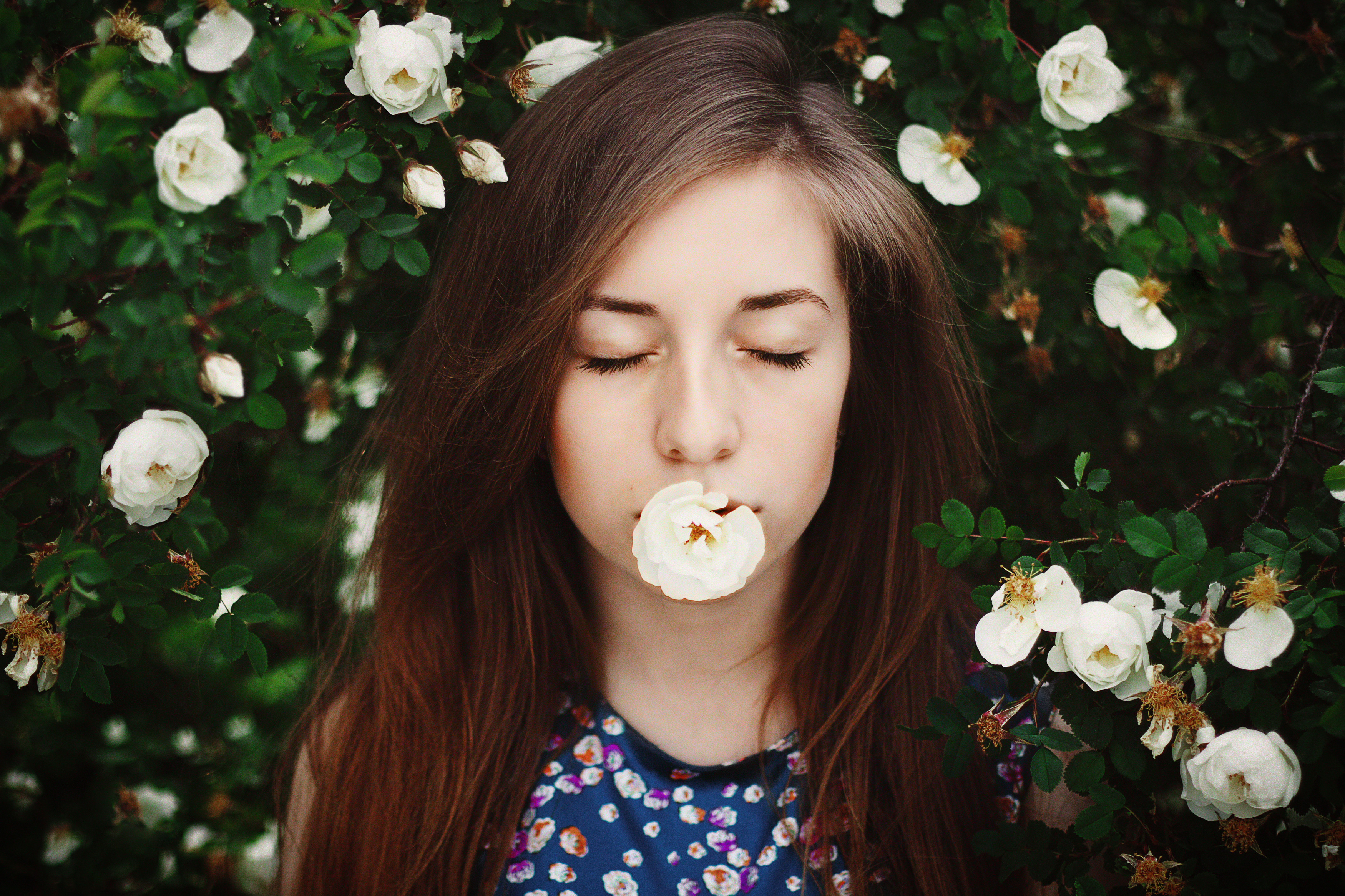 portrait портрет лес девушка модель весна розы, Олег Карсаков