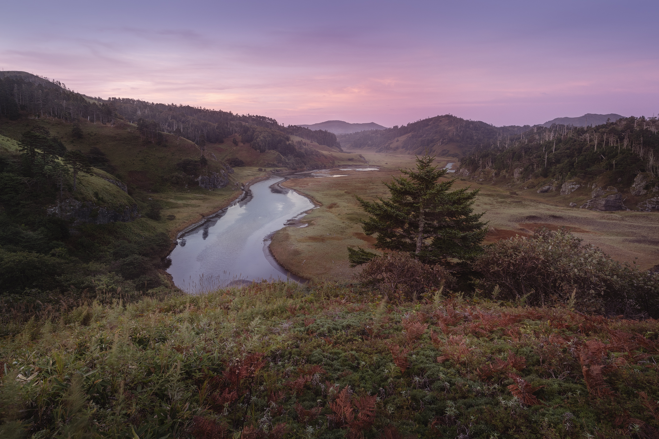 , Павел Глушков