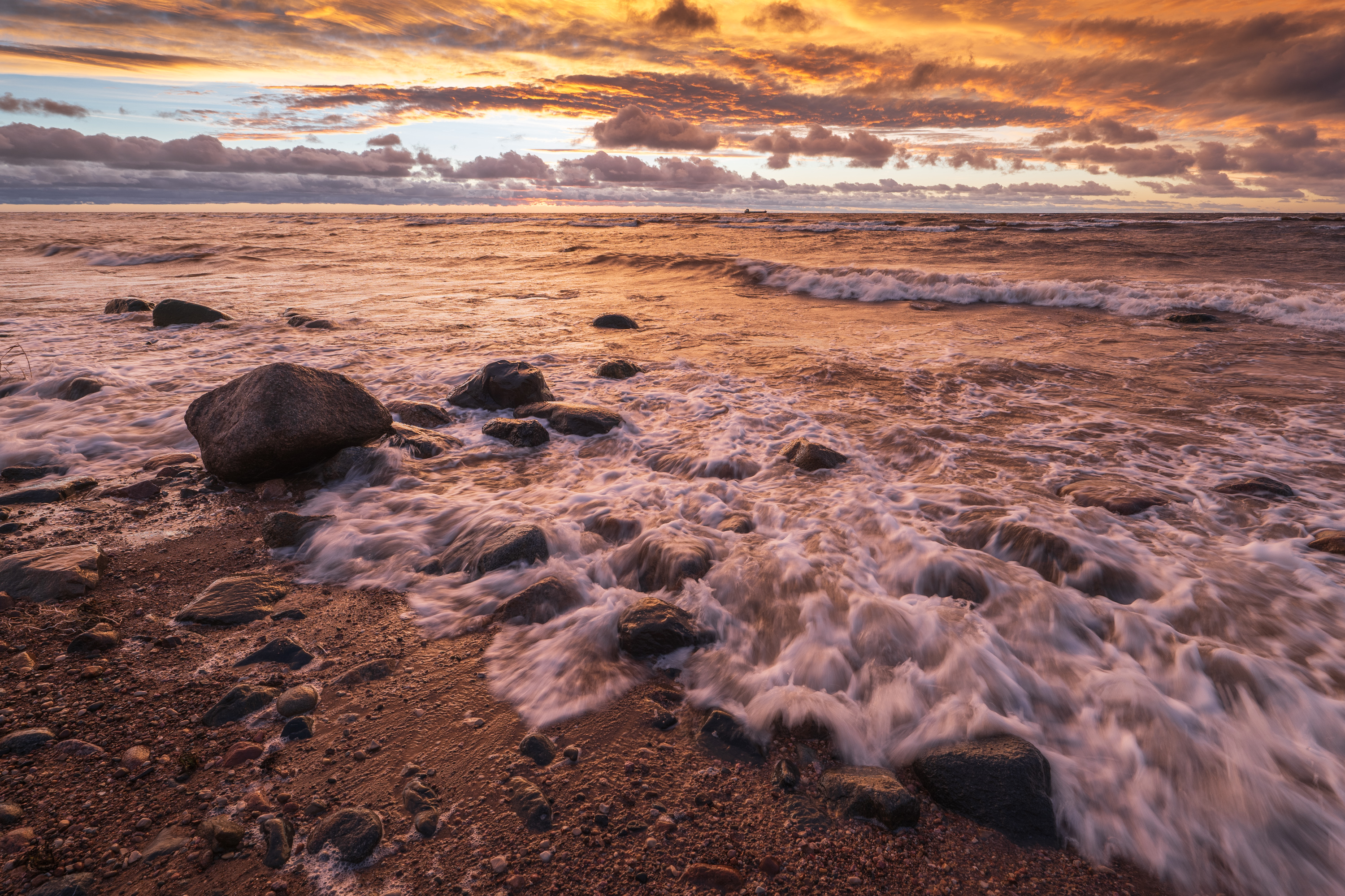 , Гордон Николай