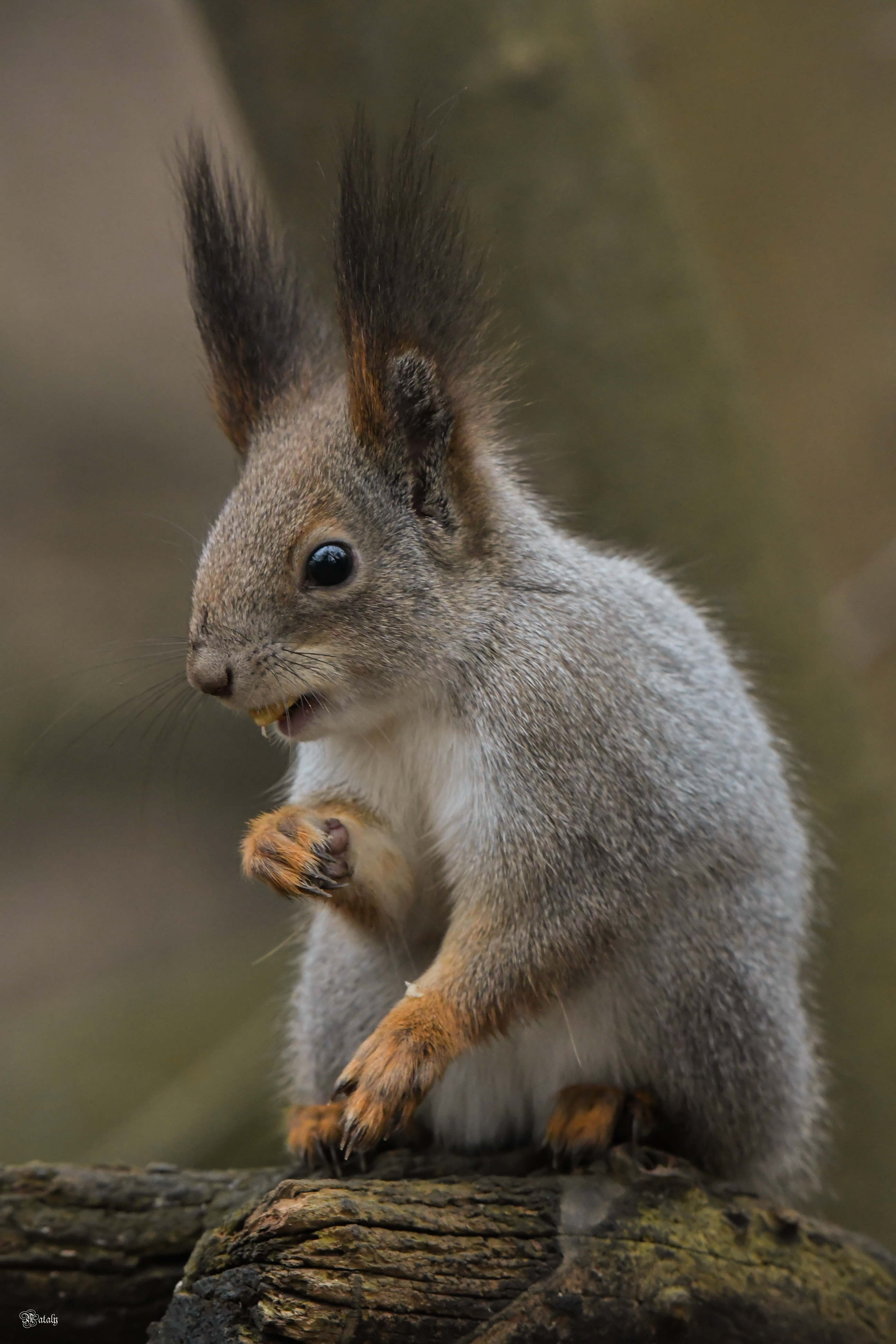 , Наталья Екимова