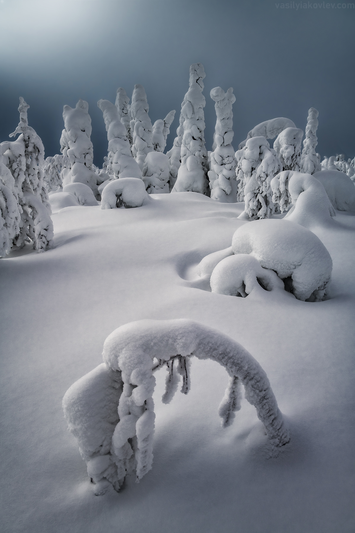 , Василий Яковлев