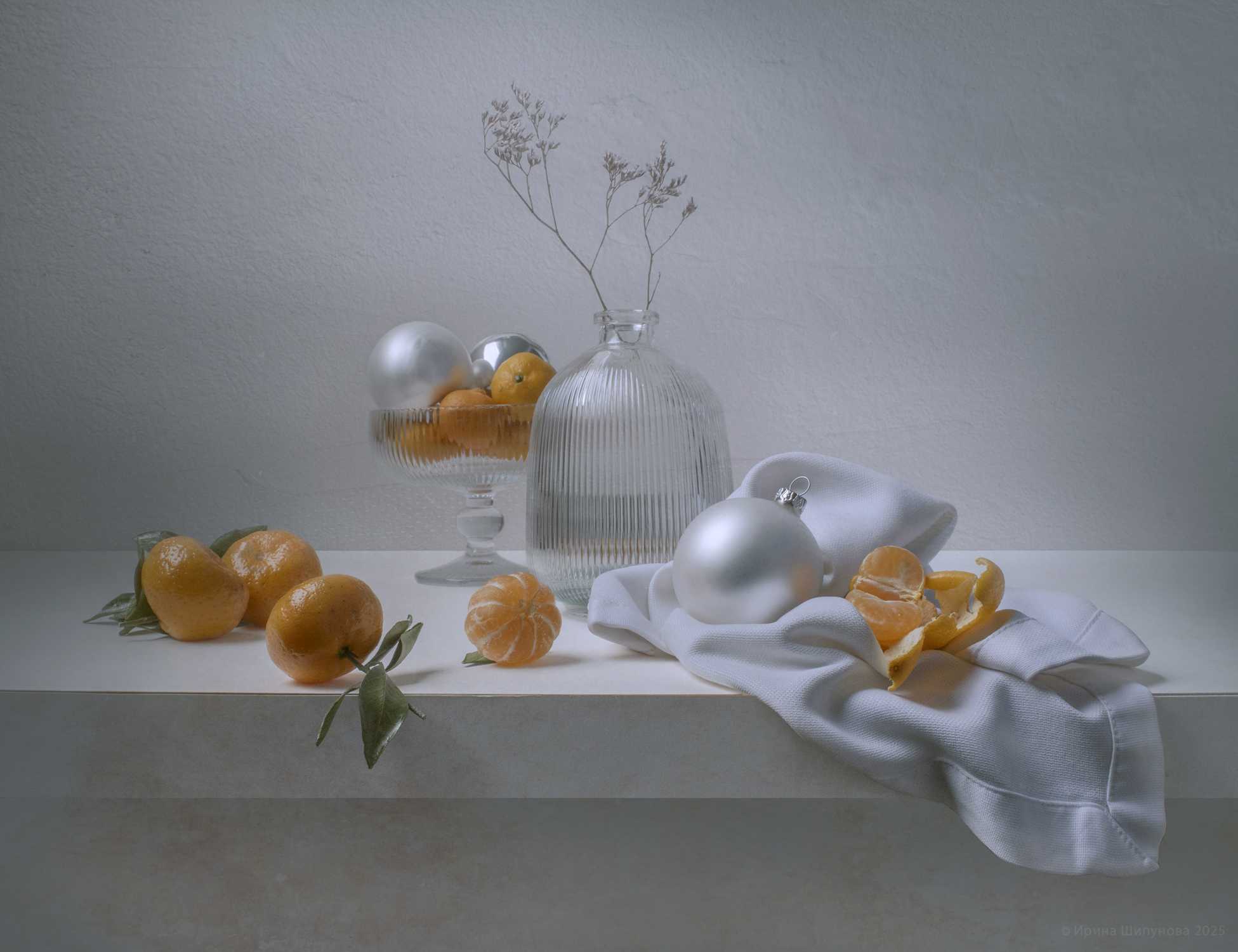 , Шипунова Ирина