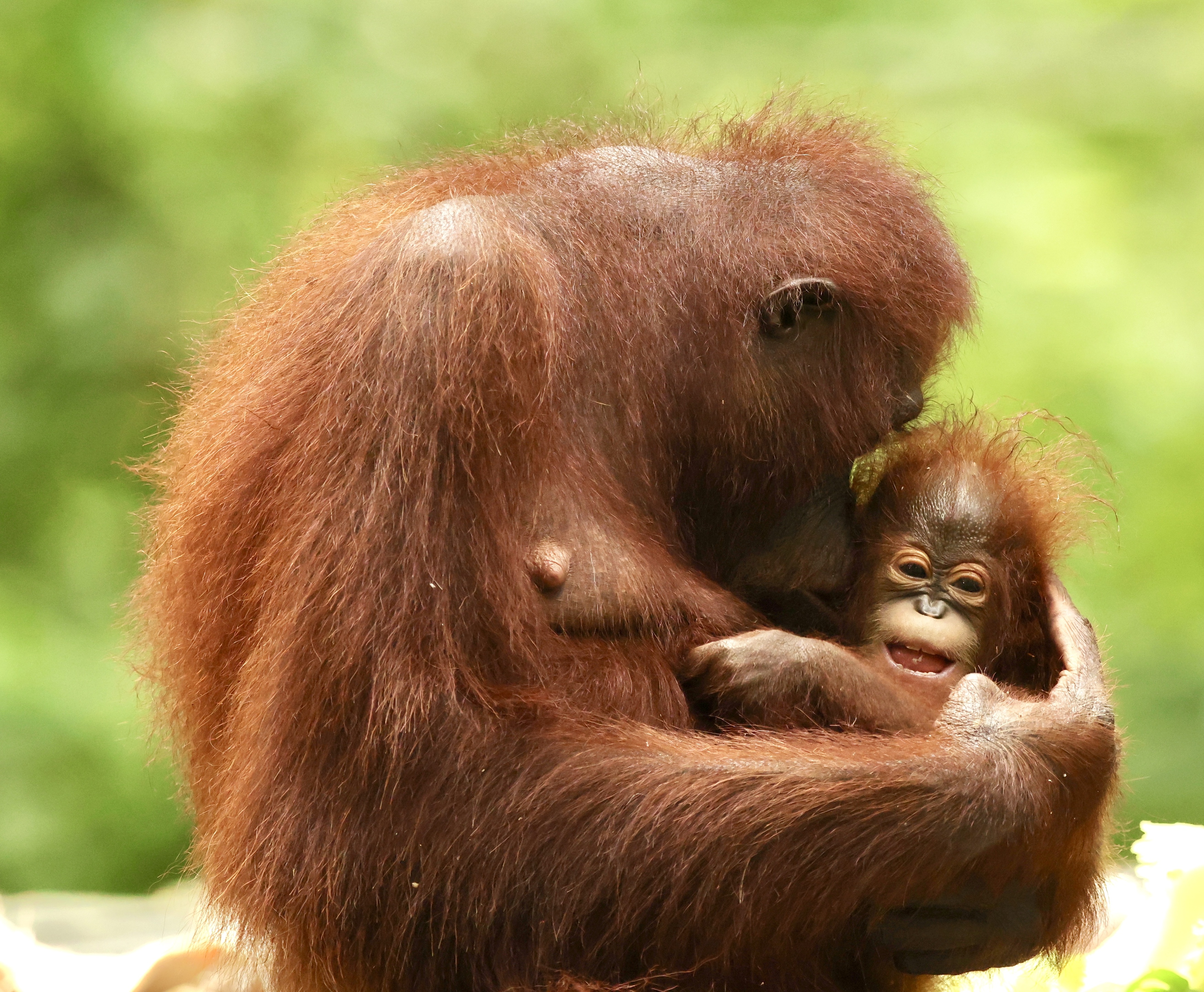 , Голубков Леонид