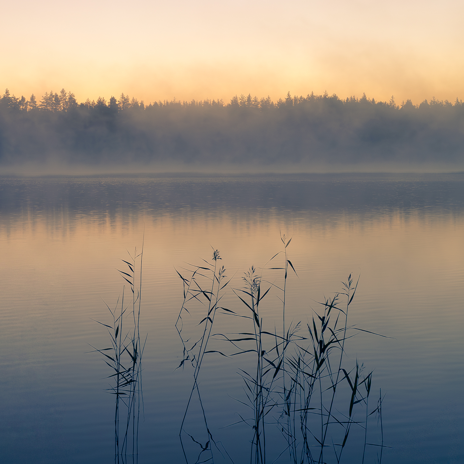 , Аркадий Мотовилов