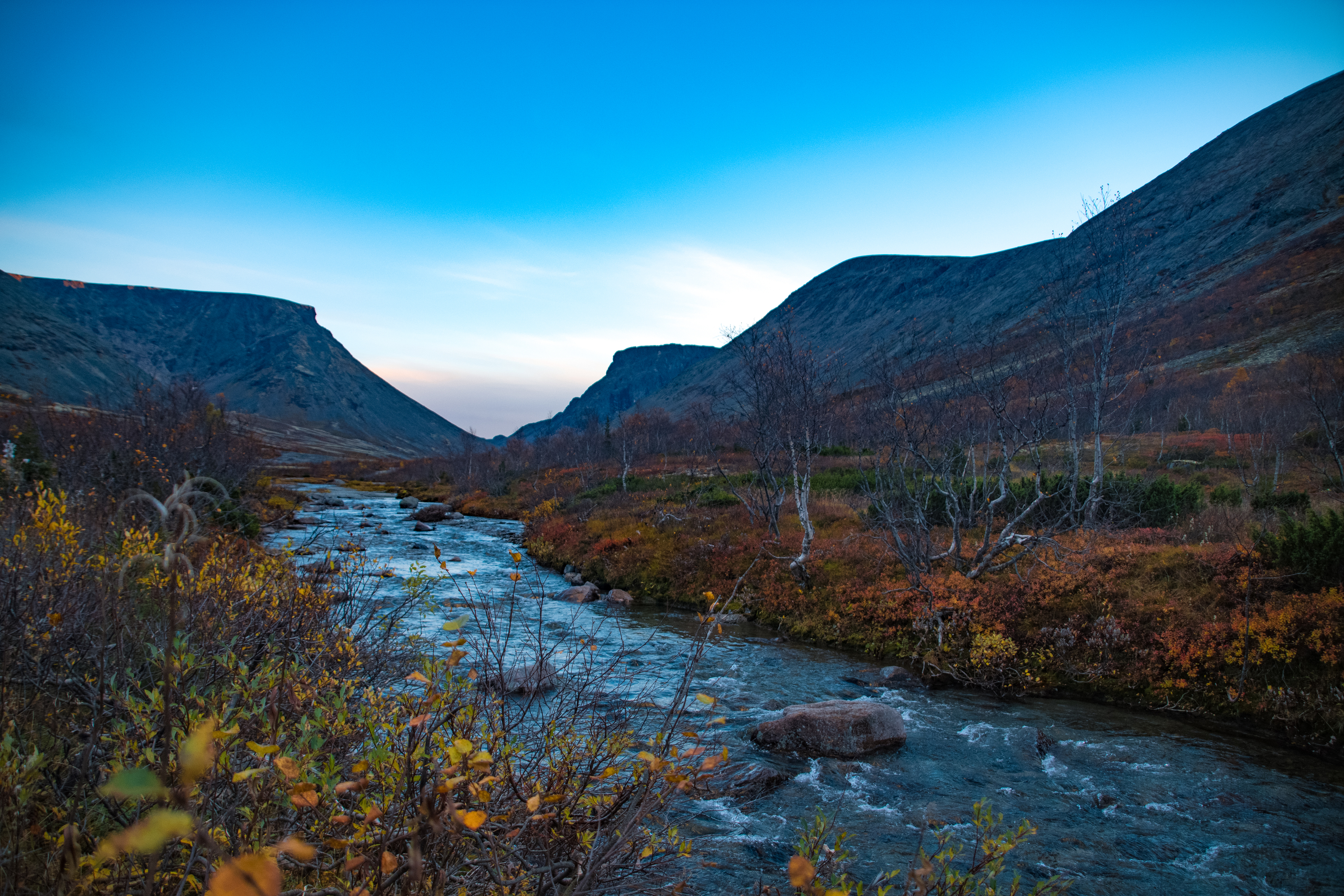 , Егорова Наталья