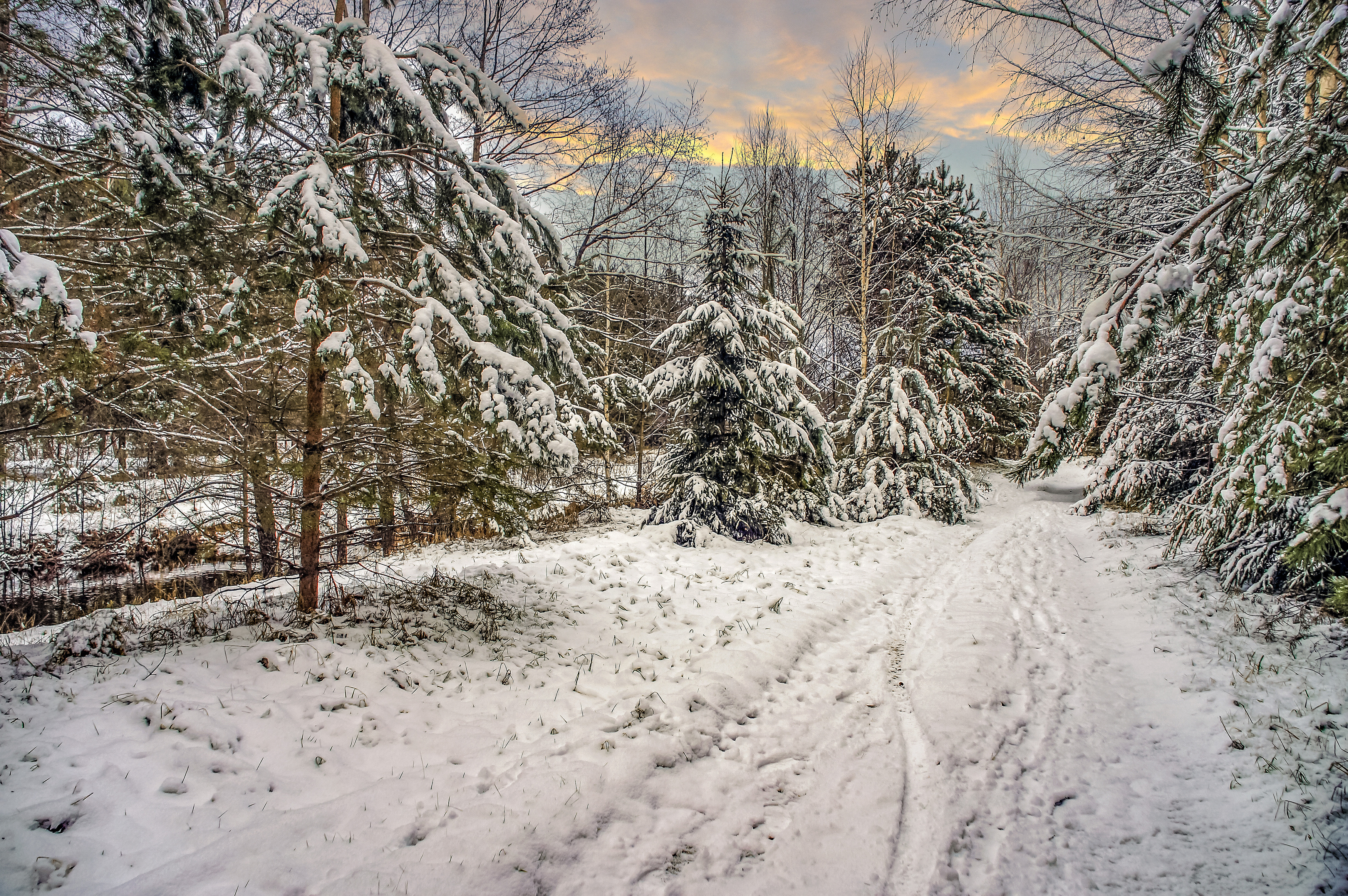 , Шитов Александр