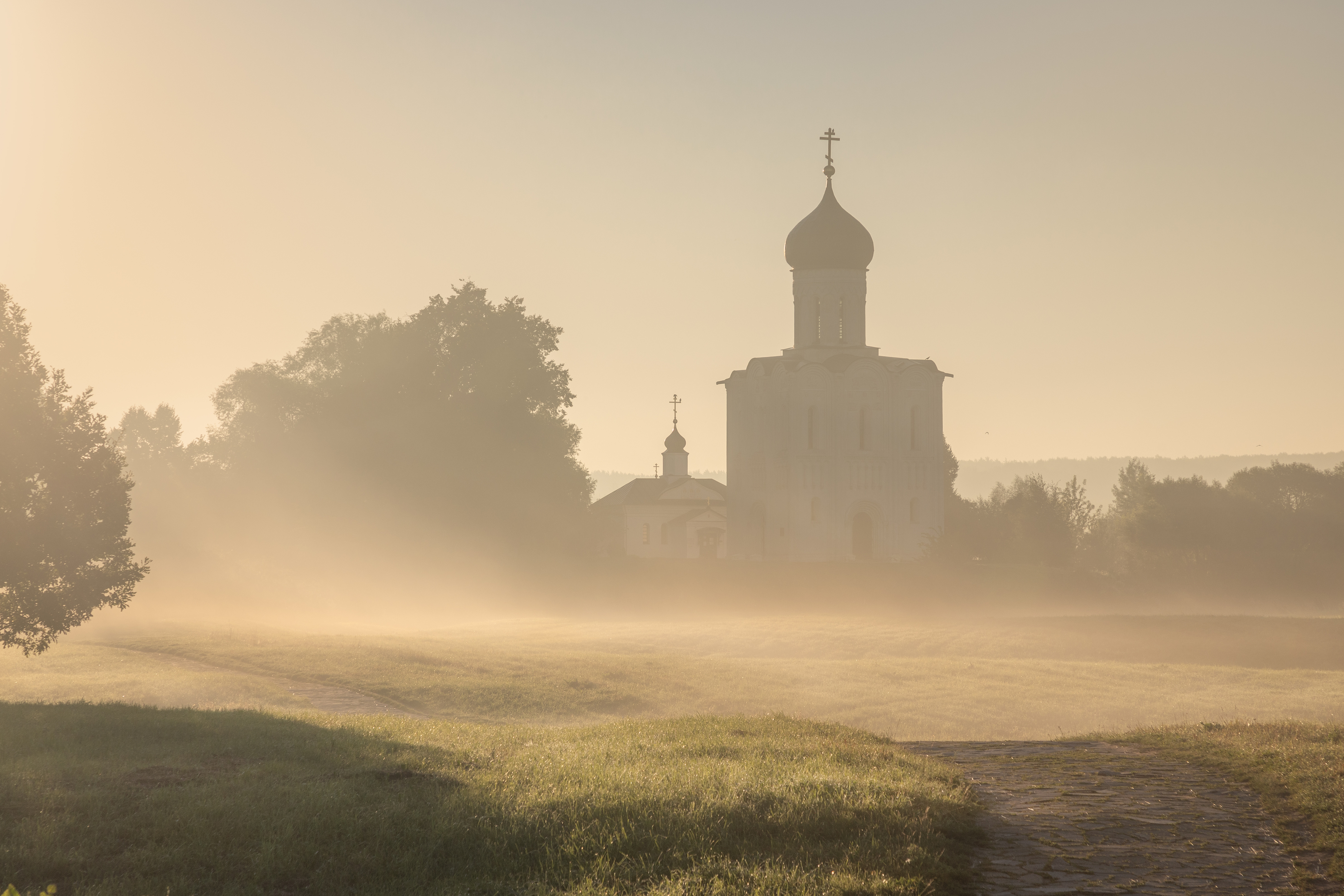 Владимирская область, Гусева Елена