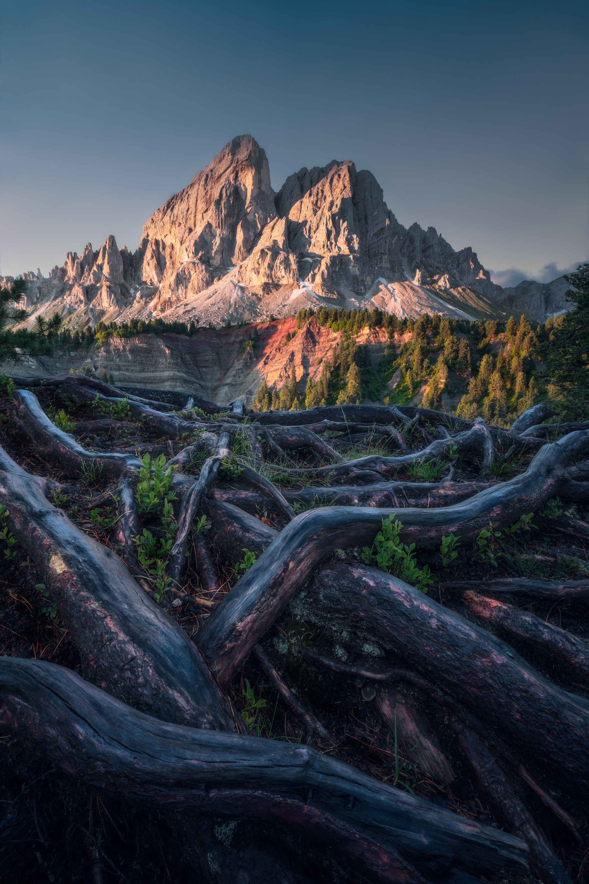 , Вукотић Никола