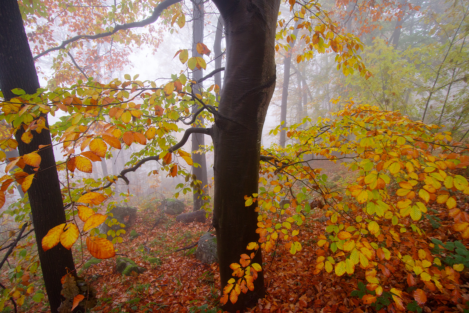 , Любослав Любомиров