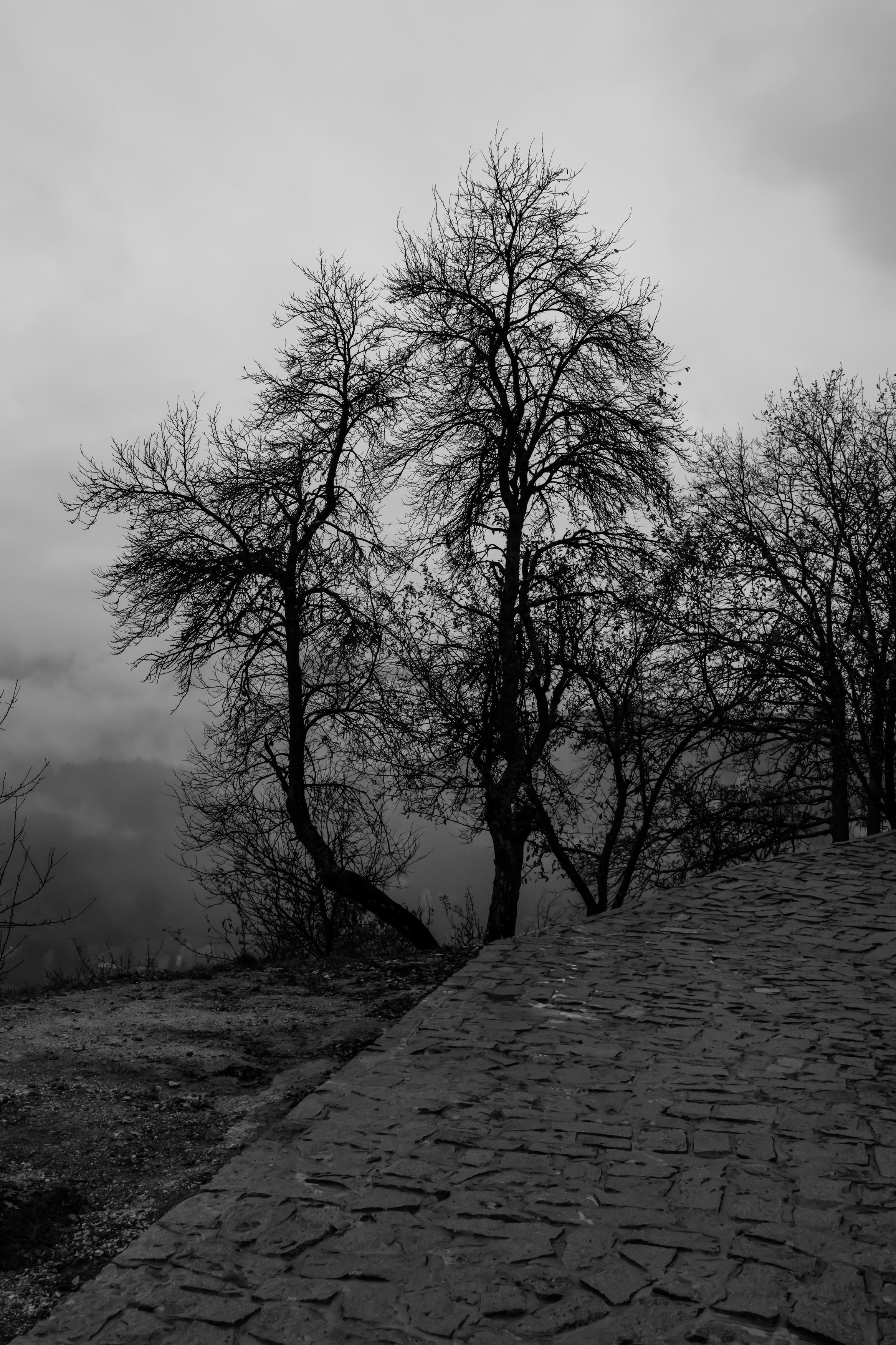 , Шилов Александр