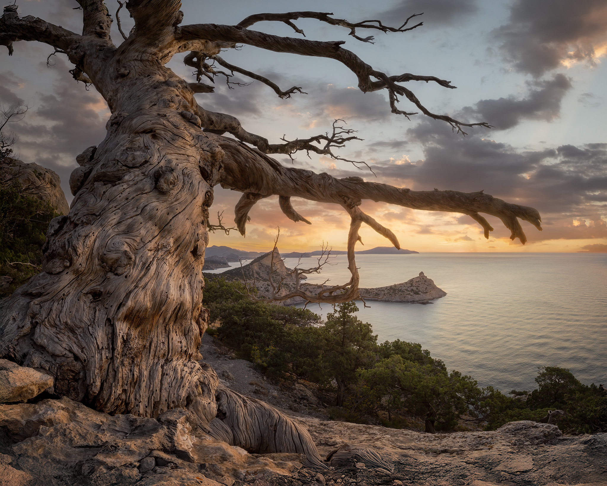 , Костенко Александр