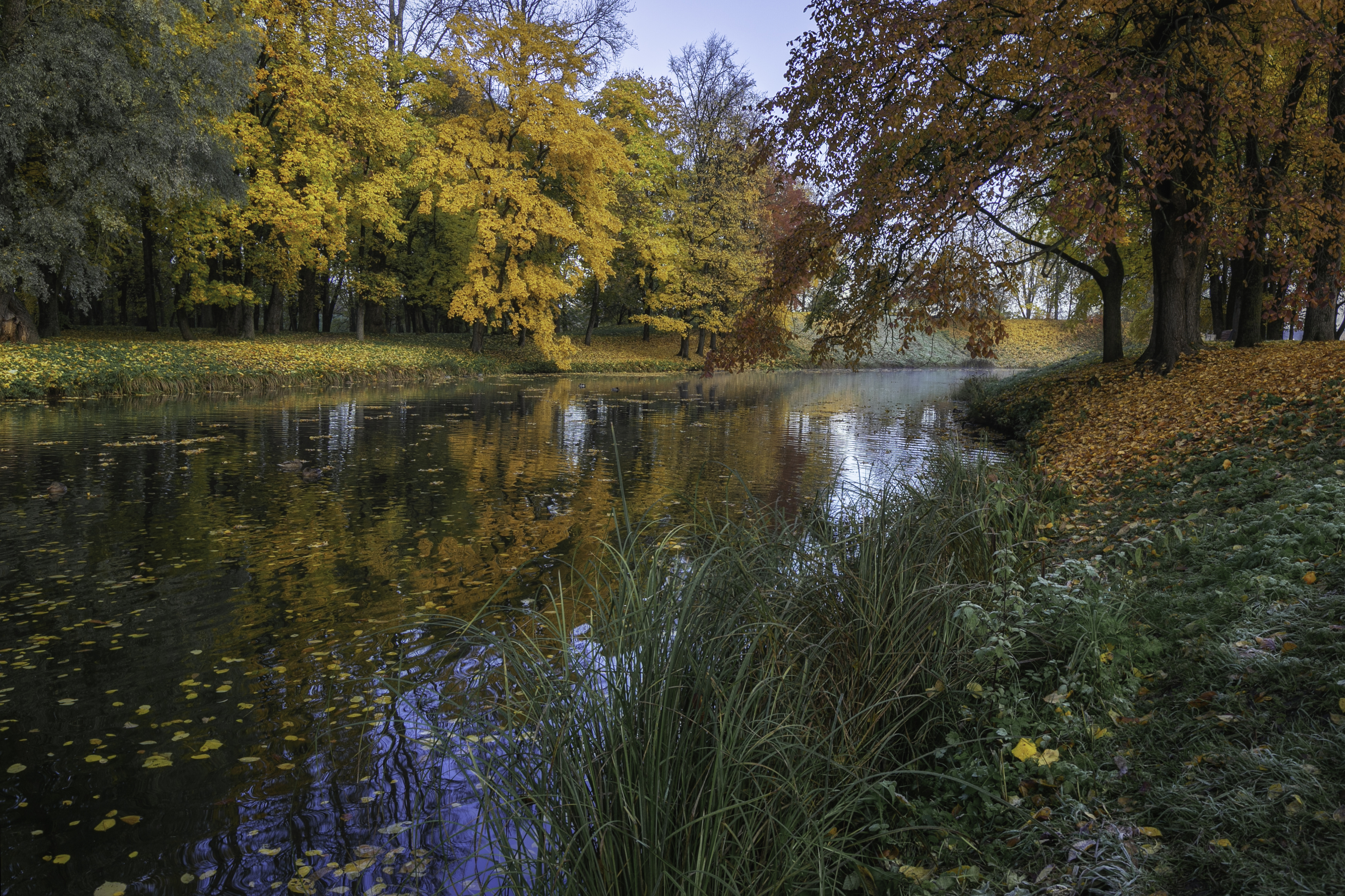пейзаж, Сёмин Илья
