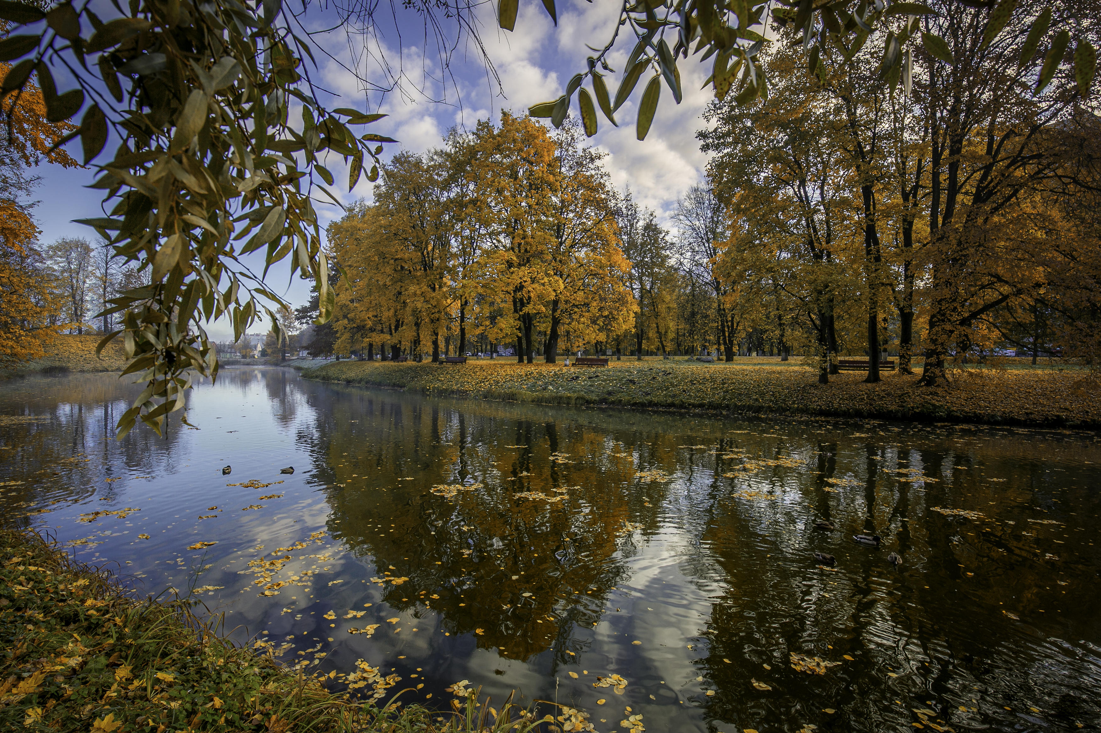 , Сёмин Илья