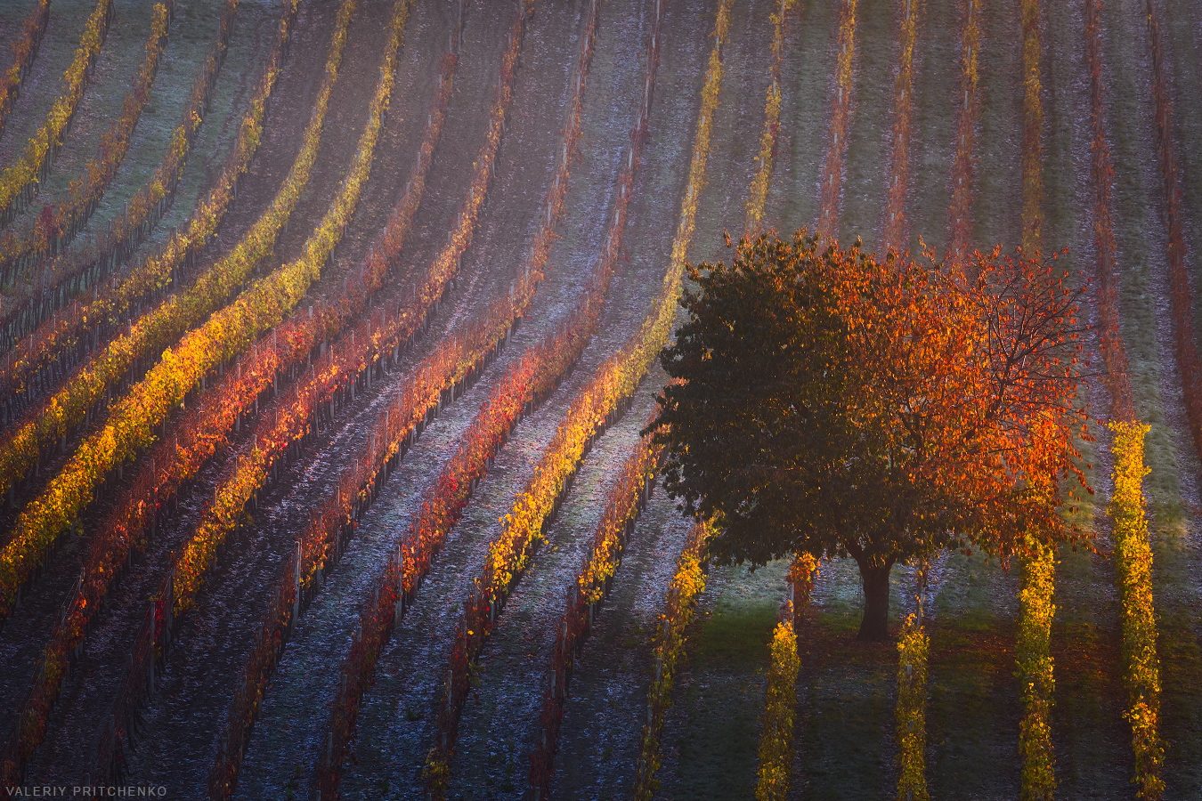 , Валерий Притченко