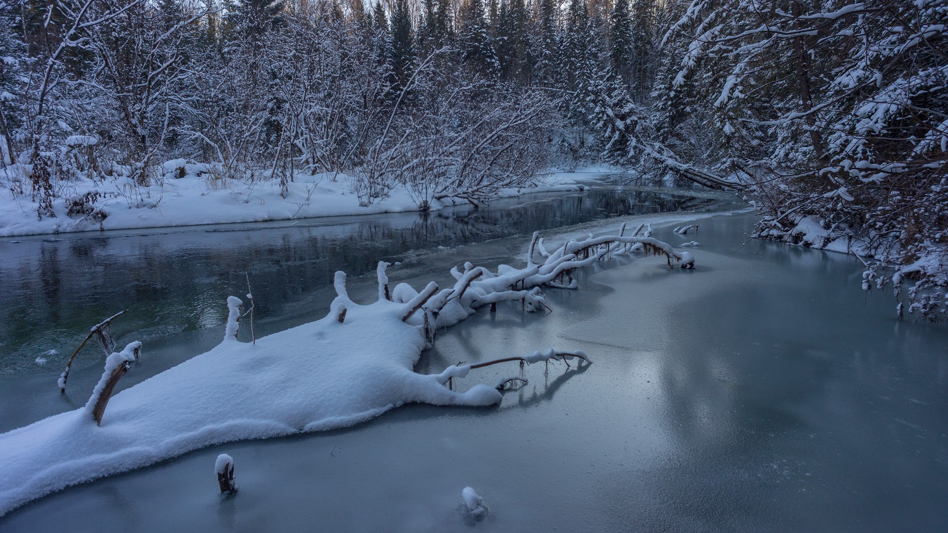 базаиха ноябрь, Беляев Юрий