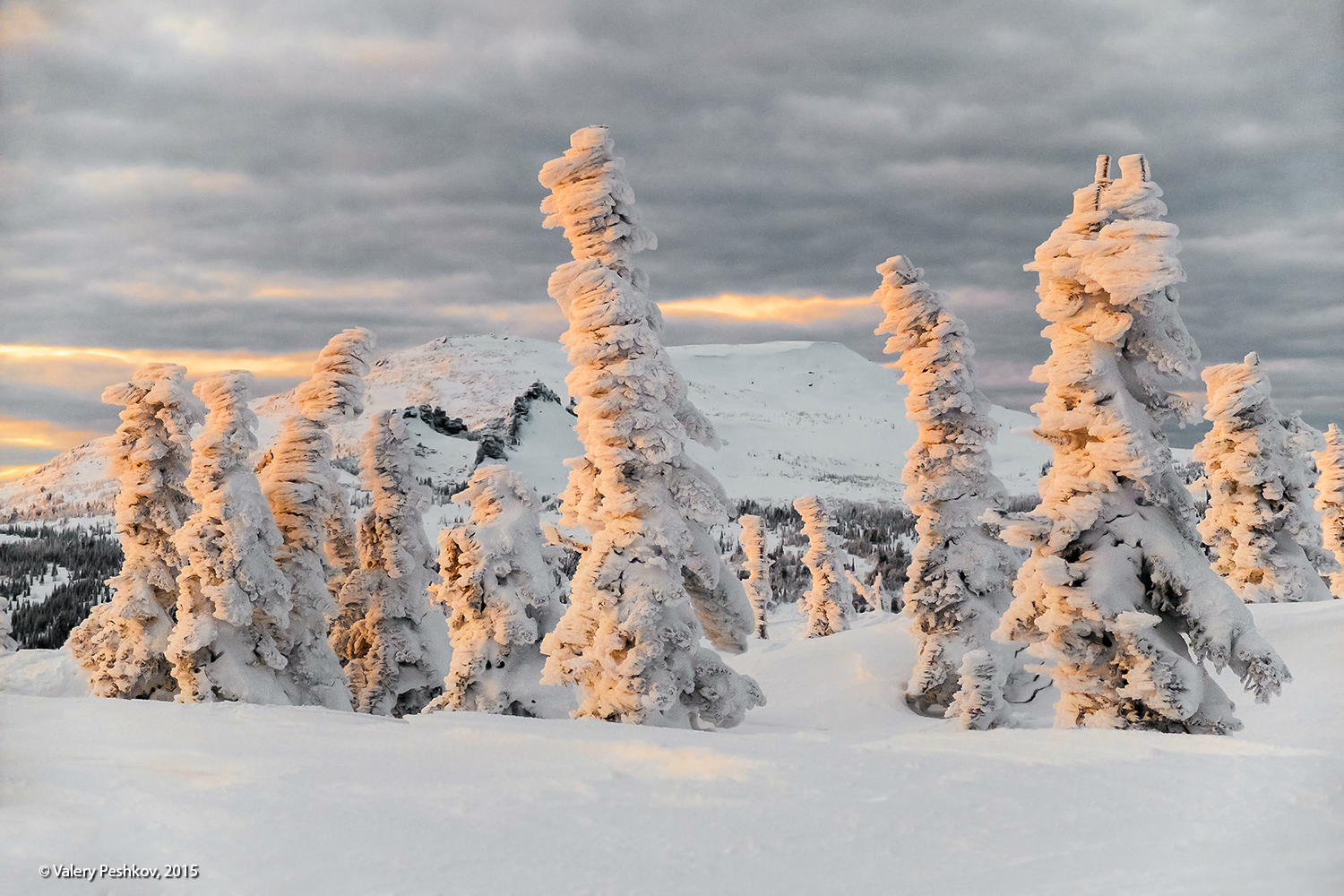 зимний вечер, сумерки, иней, пихты, гора зелёная, шерегеш, горная шория, снег, мороз, зима, сибирь, Пешков Валерий