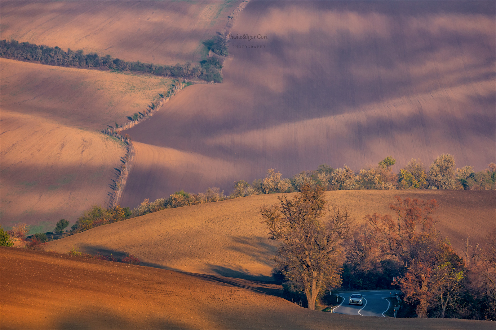 южная моравия,пейзаж,линии,south moravian,lines,свет,czech,осень,чехия,landscapes,, Гори Василий