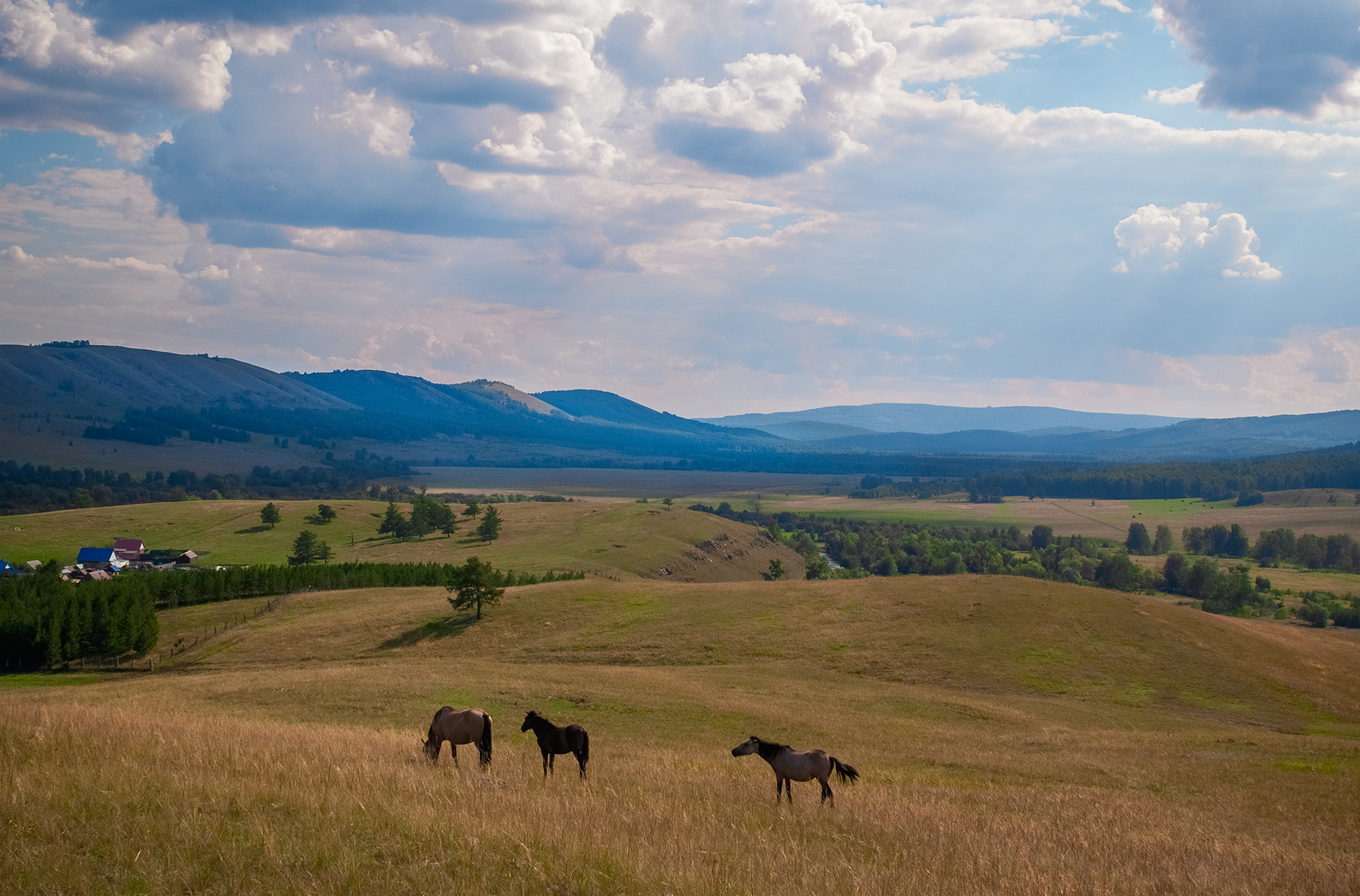 , Шустиков Дмитрий