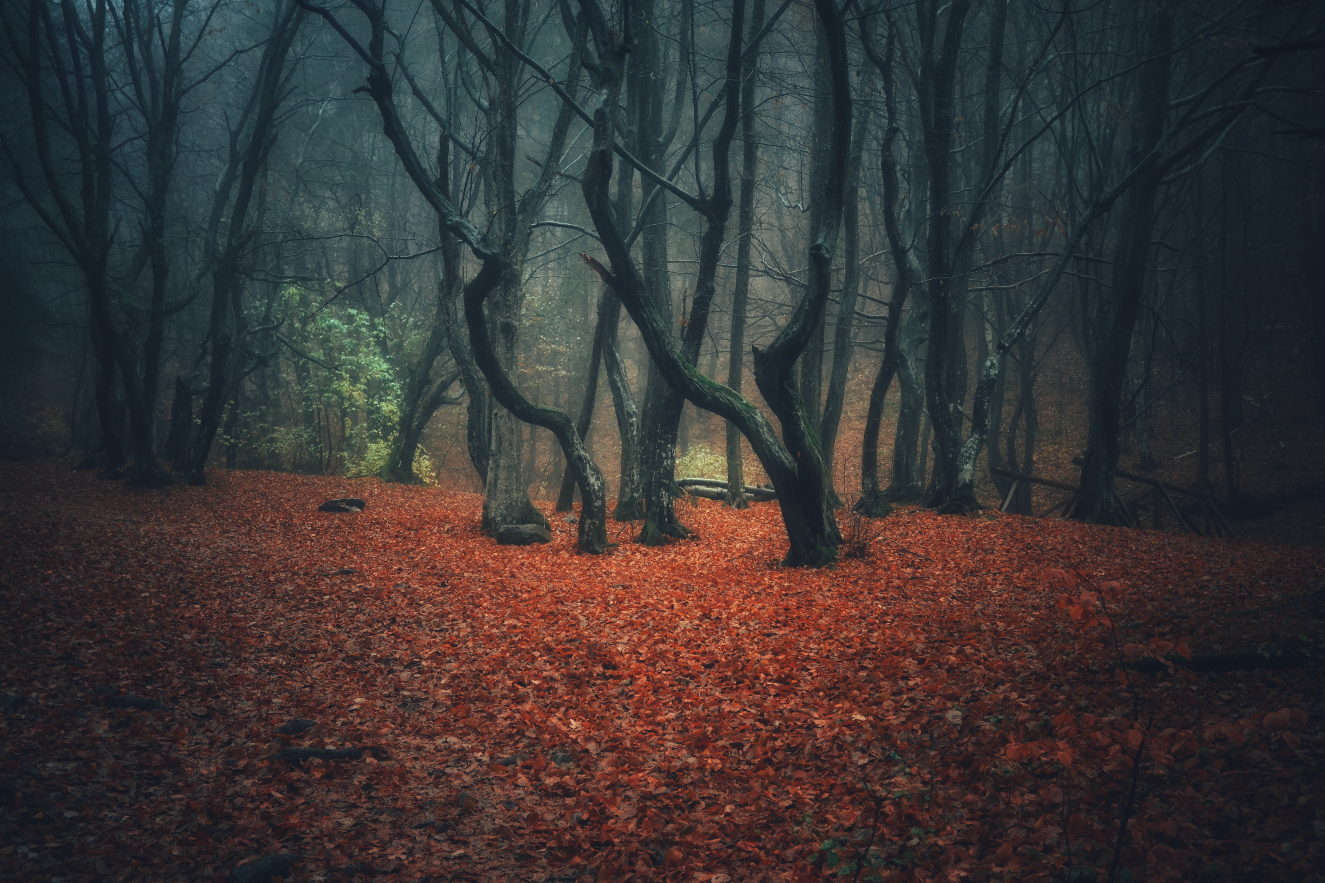 , Юлияна Стоянова