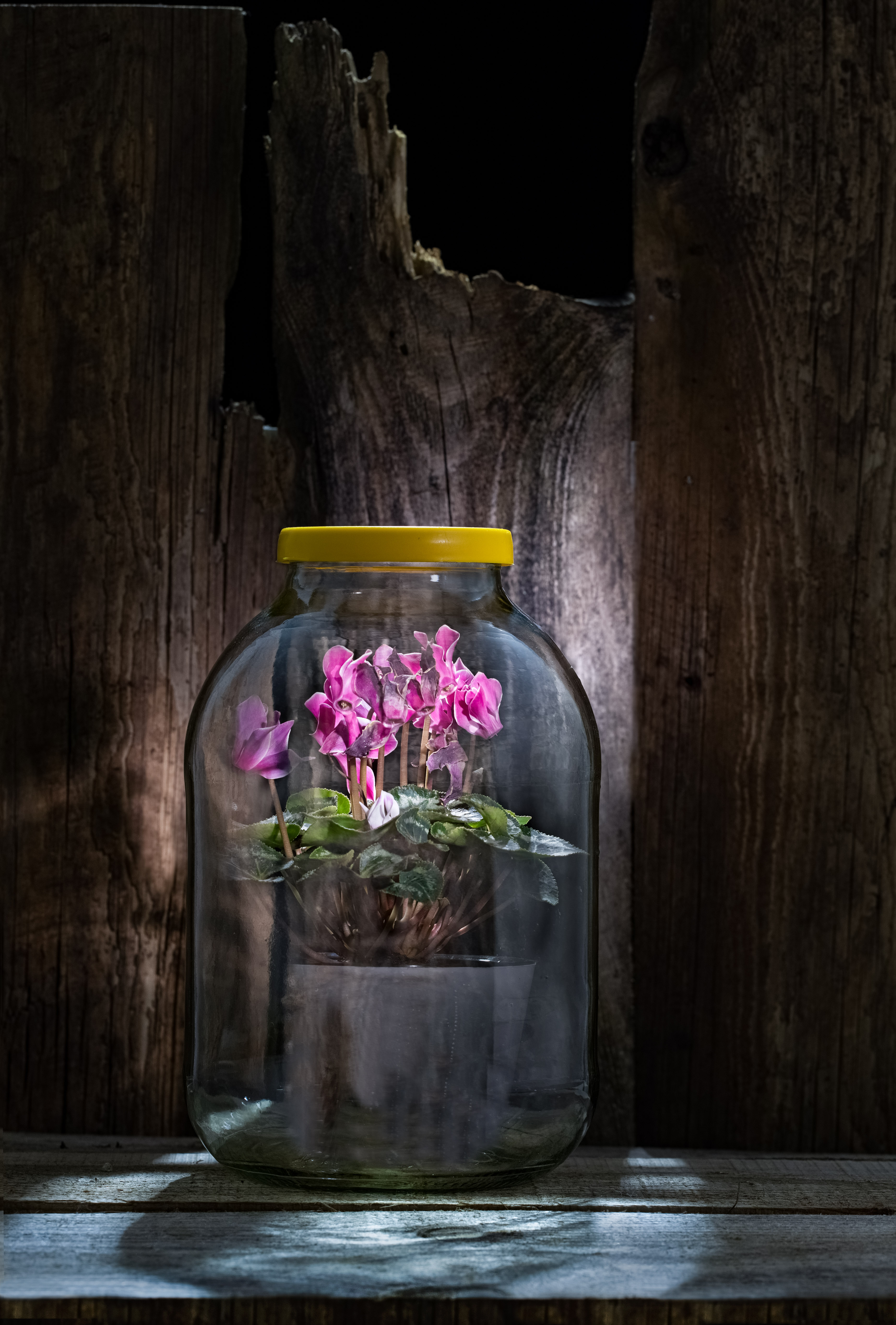 , Валентин Черновол